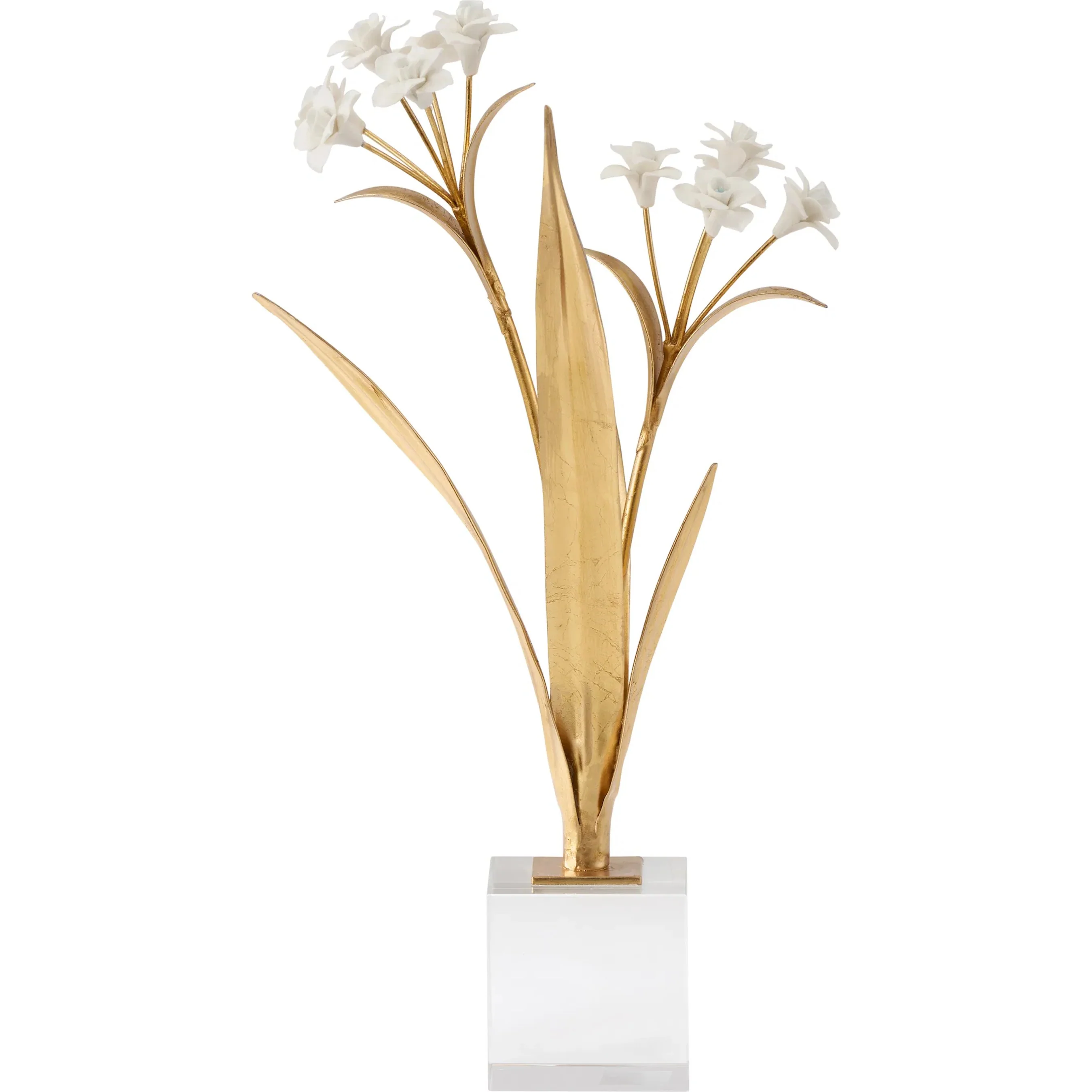 Paperwhite Narcissus - Image 2