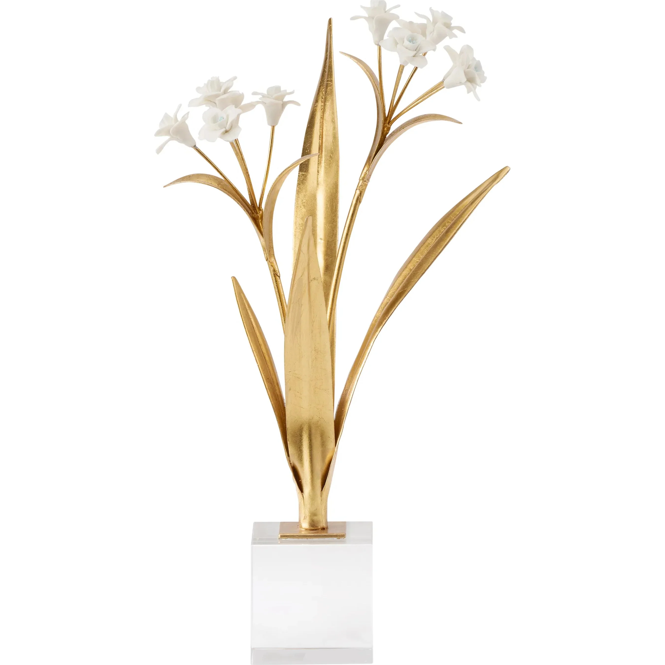 Paperwhite Narcissus - Image 4