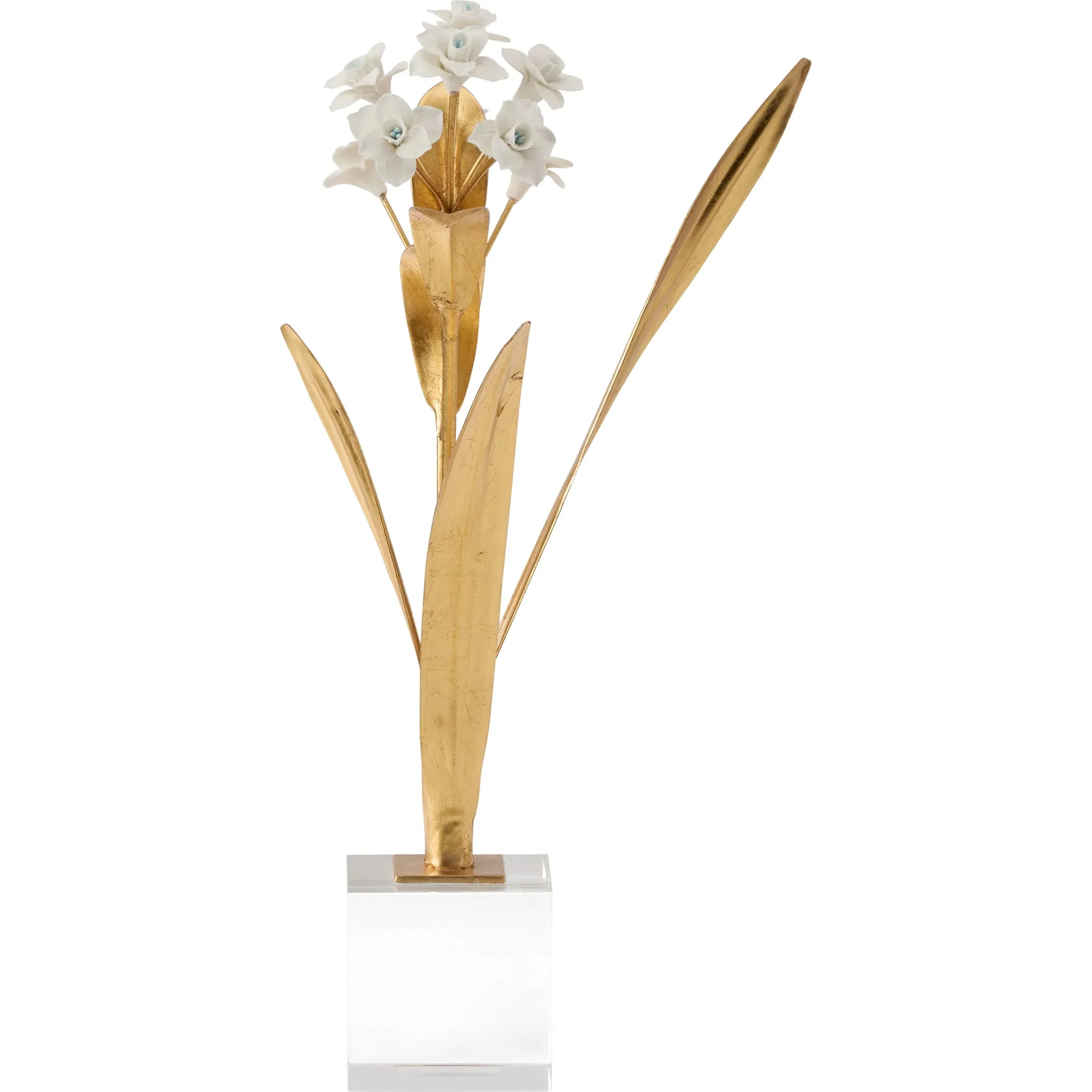 Paperwhite Narcissus - Image 5