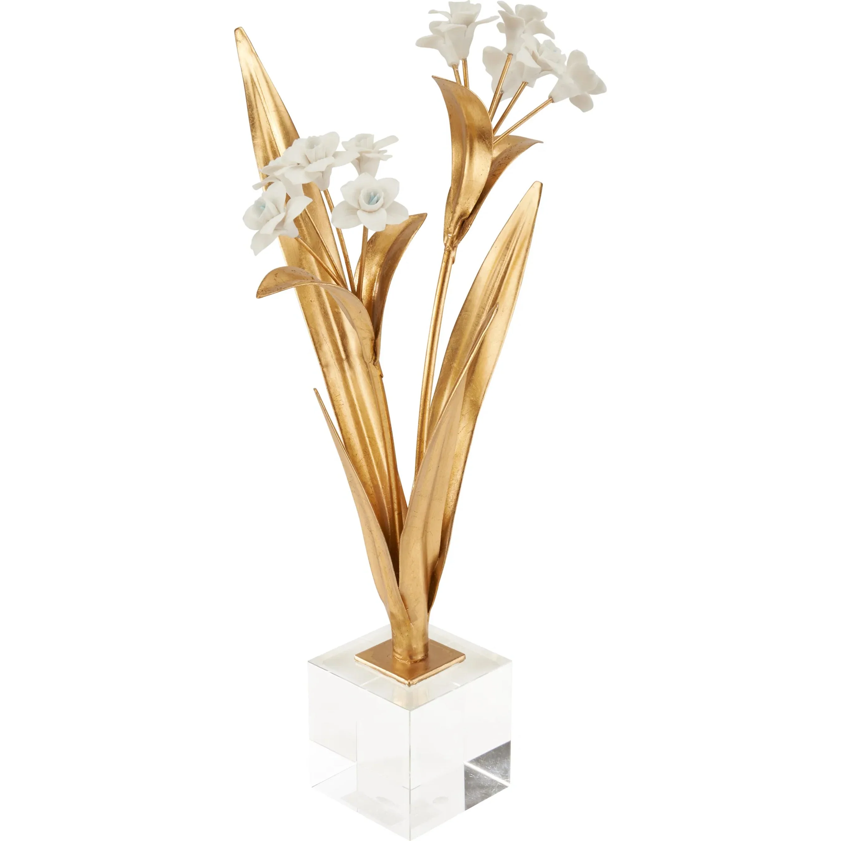 Paperwhite Narcissus - Image 6