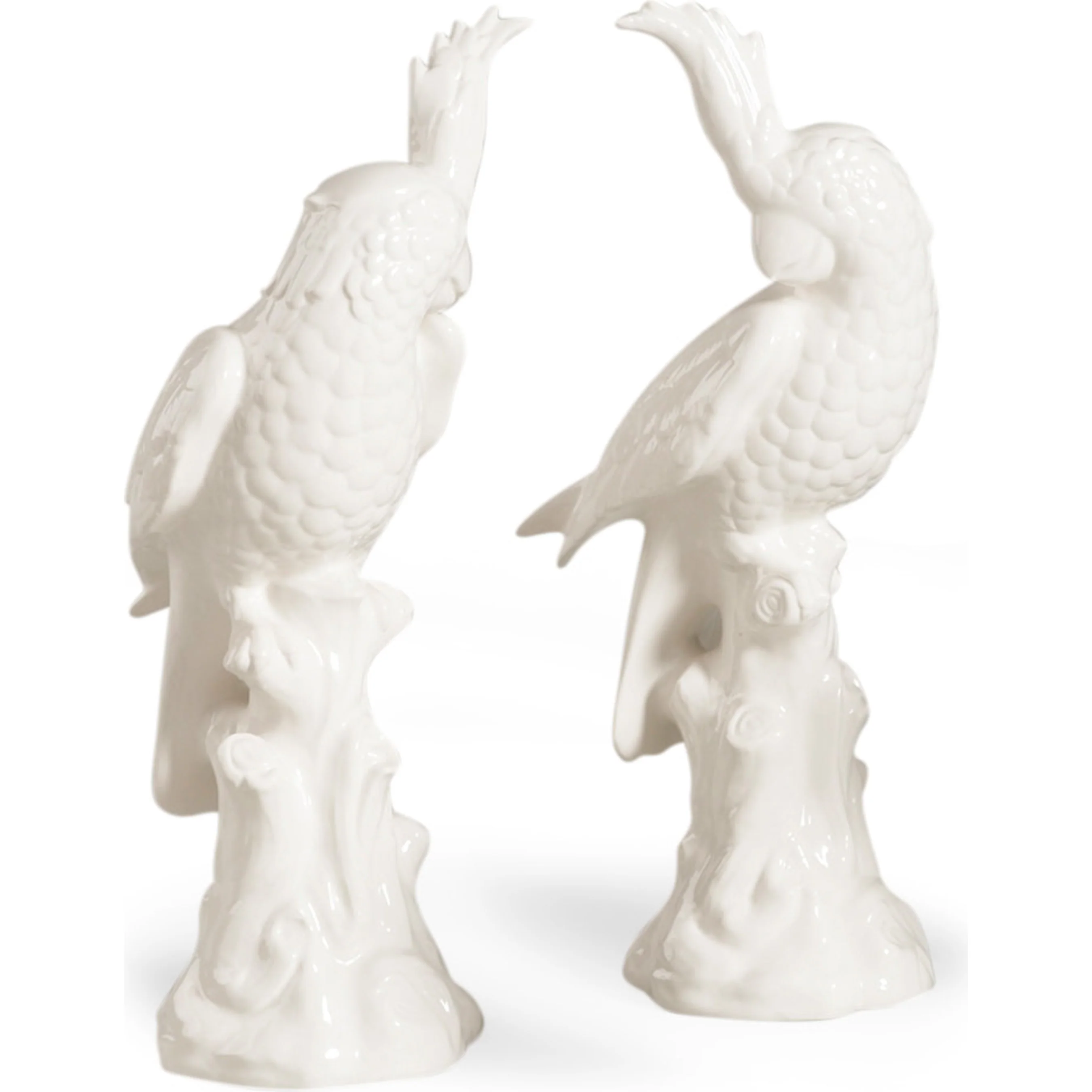 Parrot - Image 3