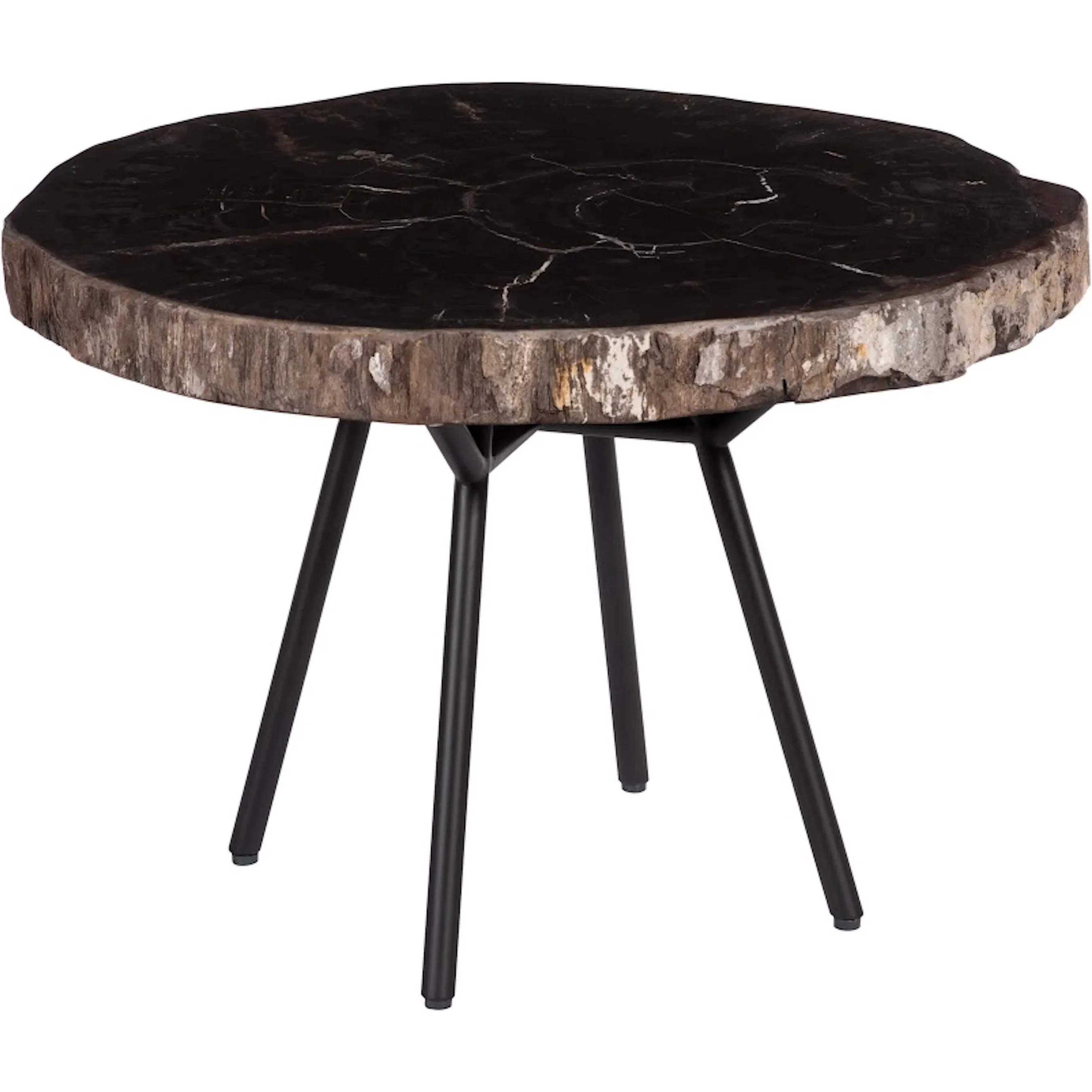 Petrified Coffee Table Metal Base