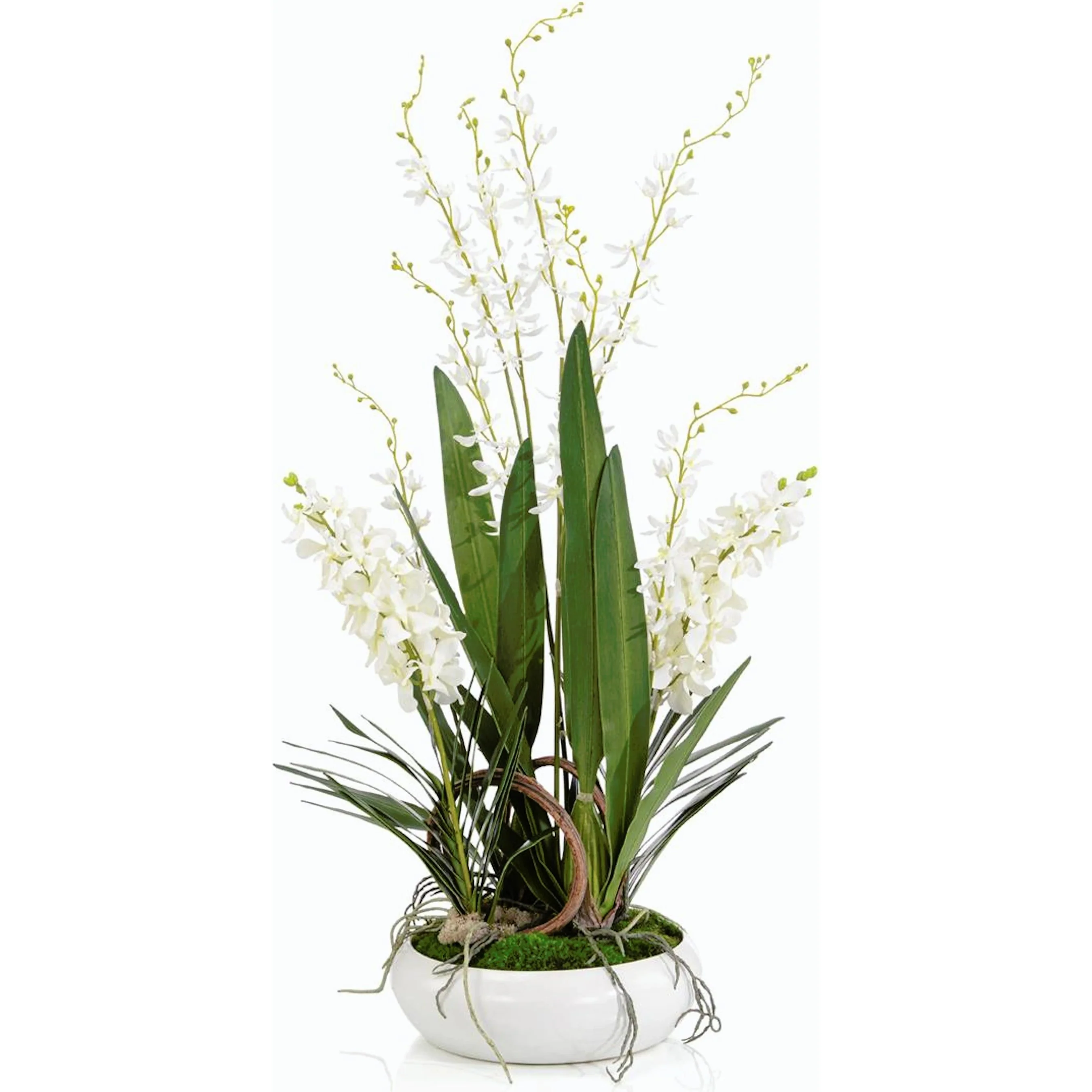 Porcelain Orchids