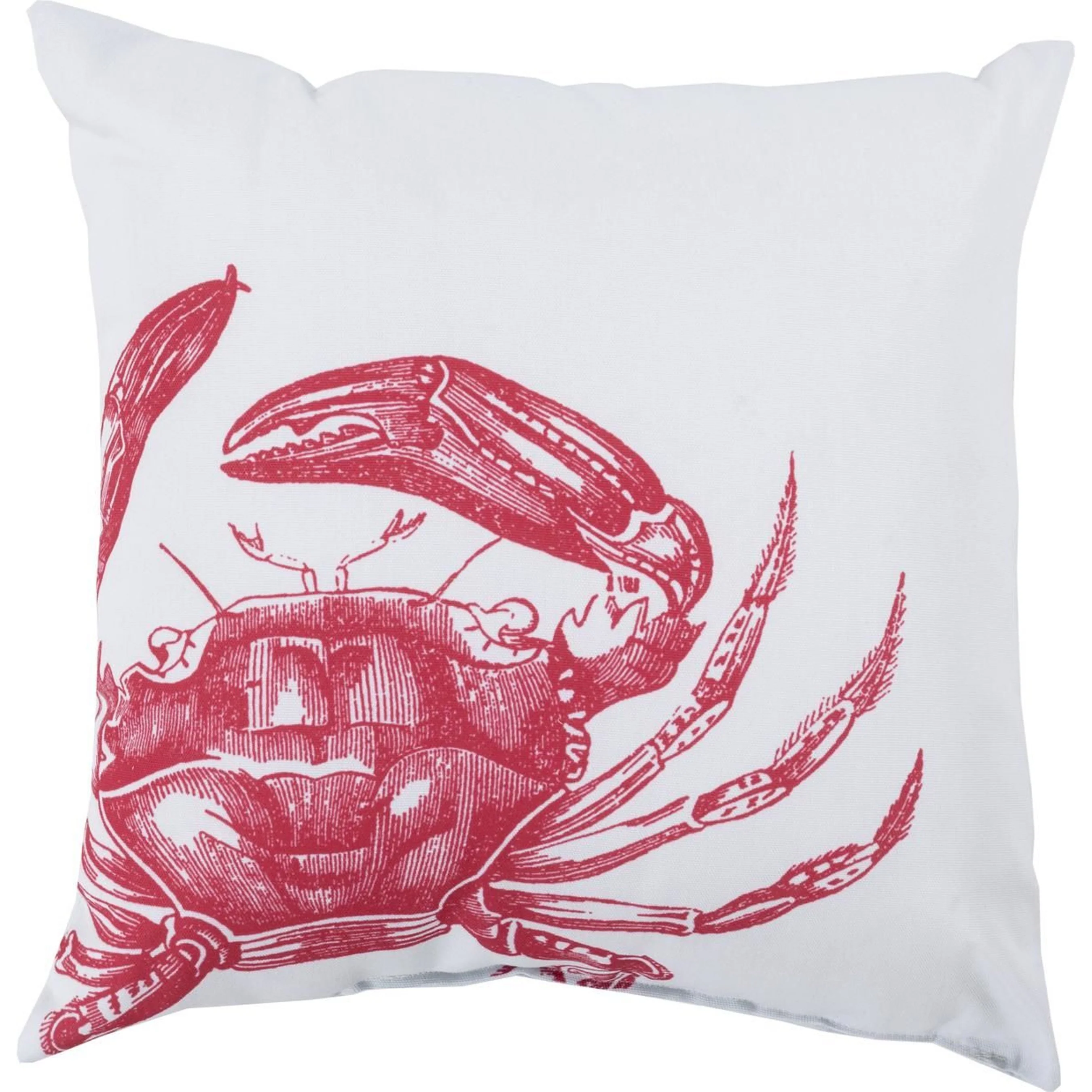 Rain Indoor/Outdoor Pillow