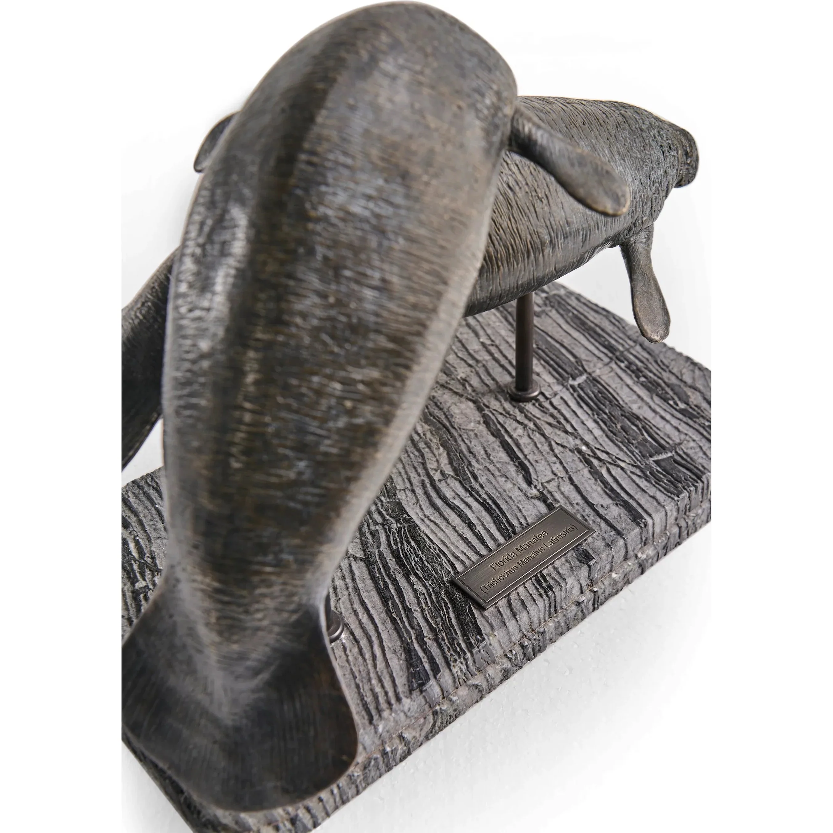 Raised Manatee Bronze Statue with Marble Base - Image 8