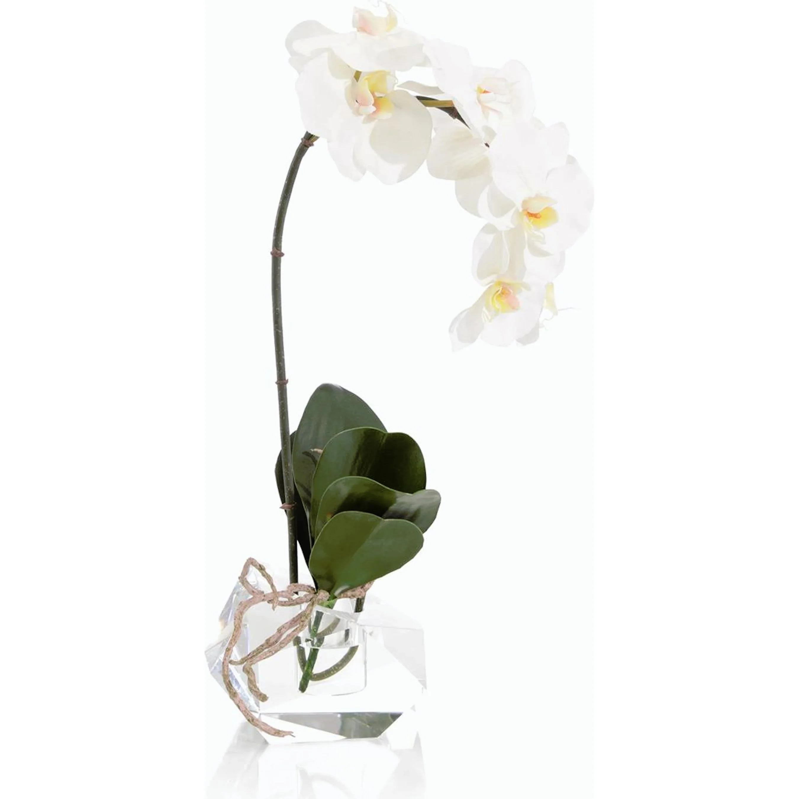 Real Touch Orchid