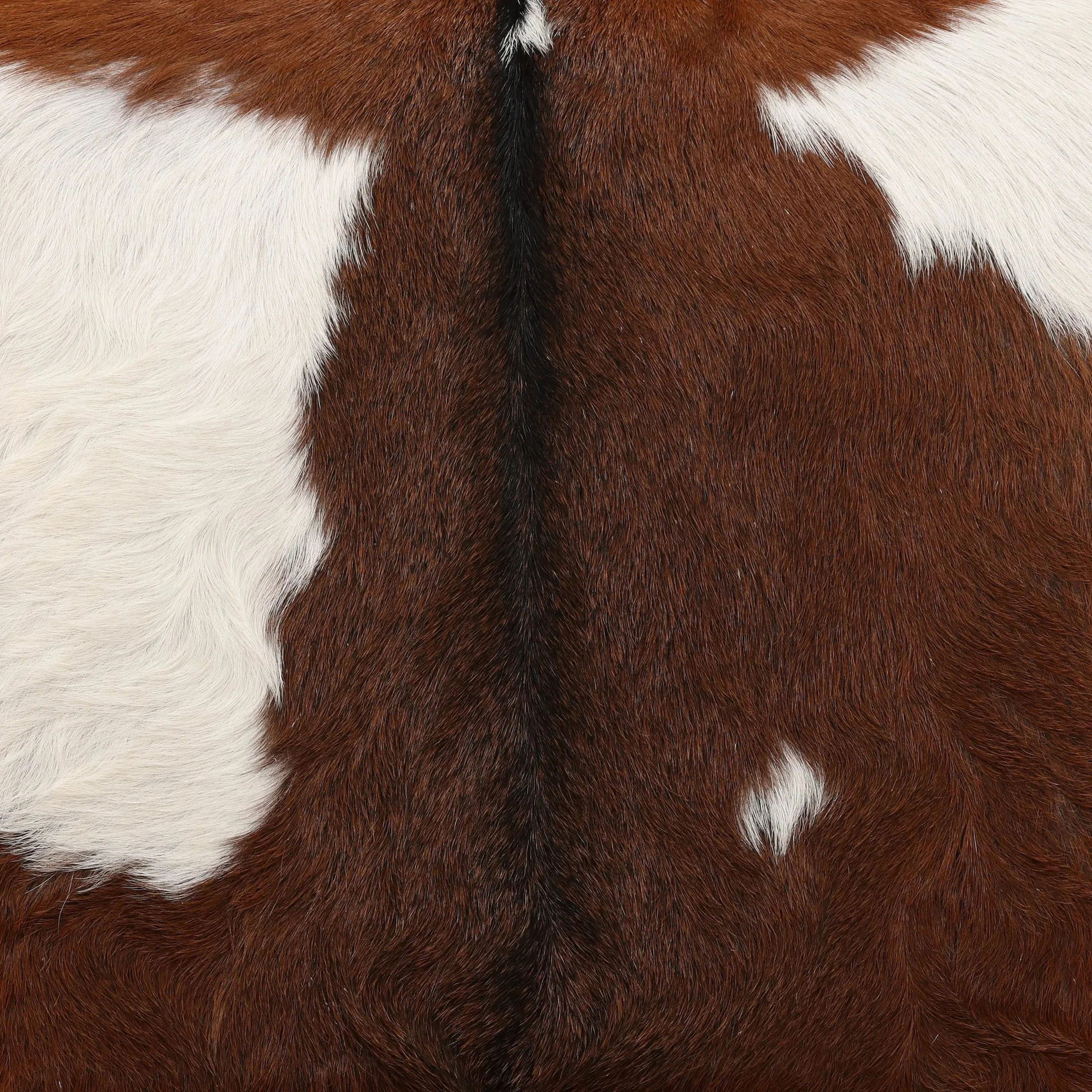 Rickie Occasional Chair - Image 11