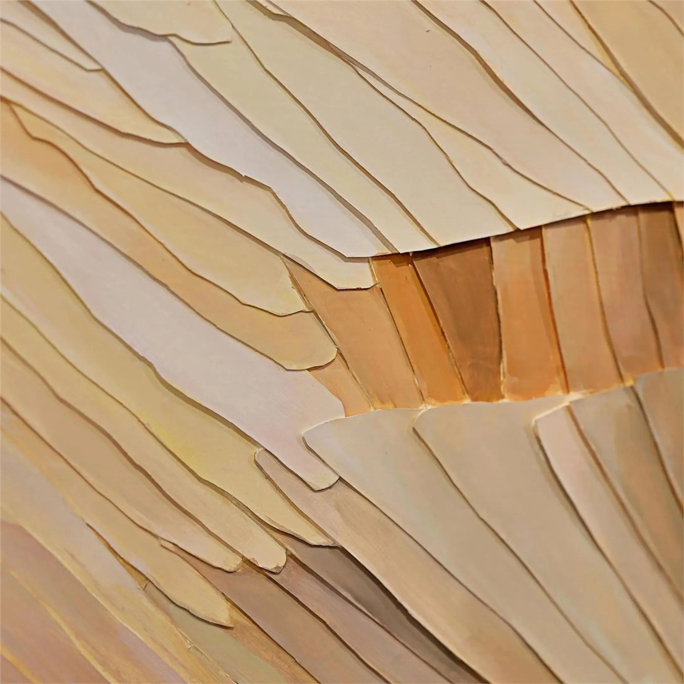 Robat's Birds of a Feather - Image 3