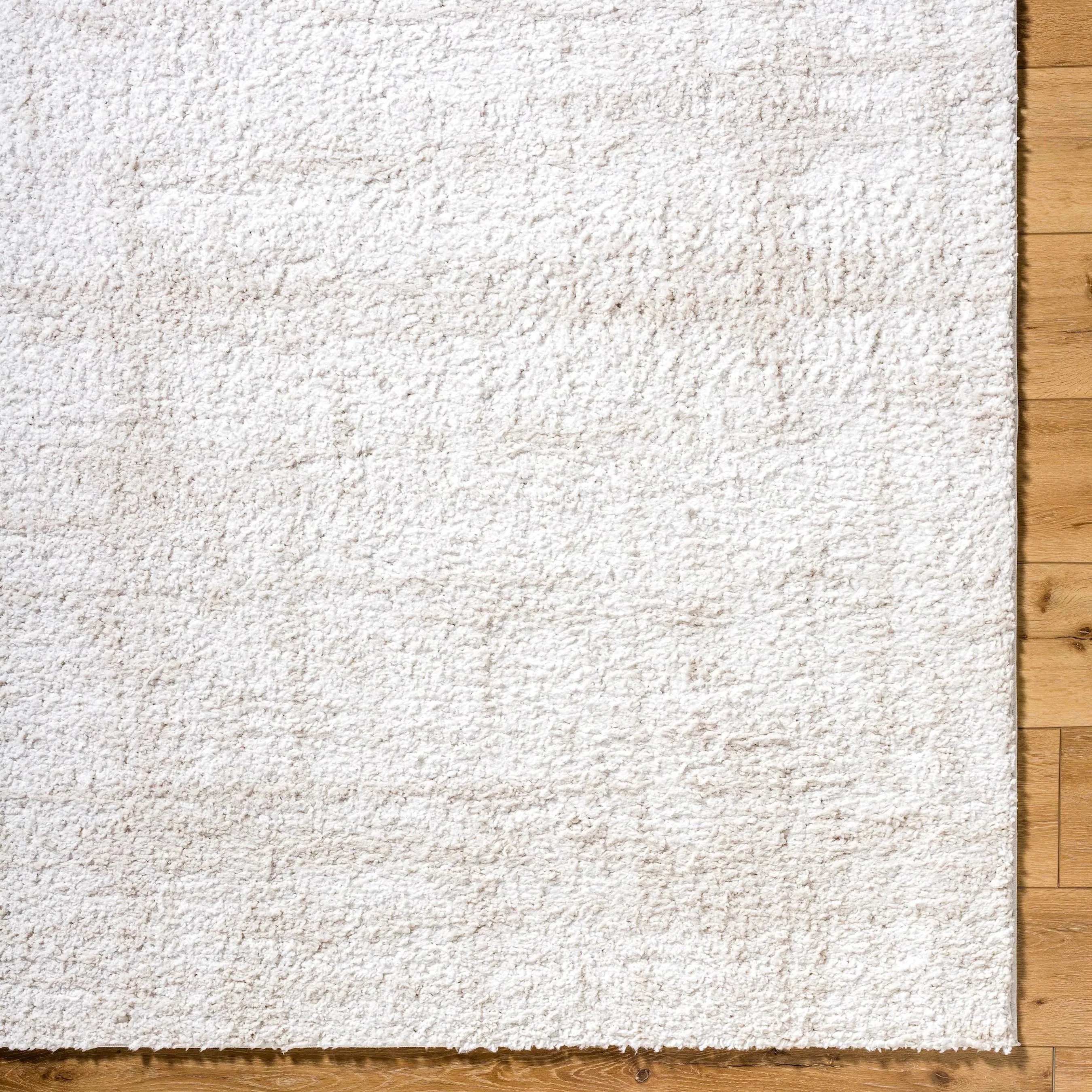 Sacramento Shag SCS-2300 Rug - Image 6
