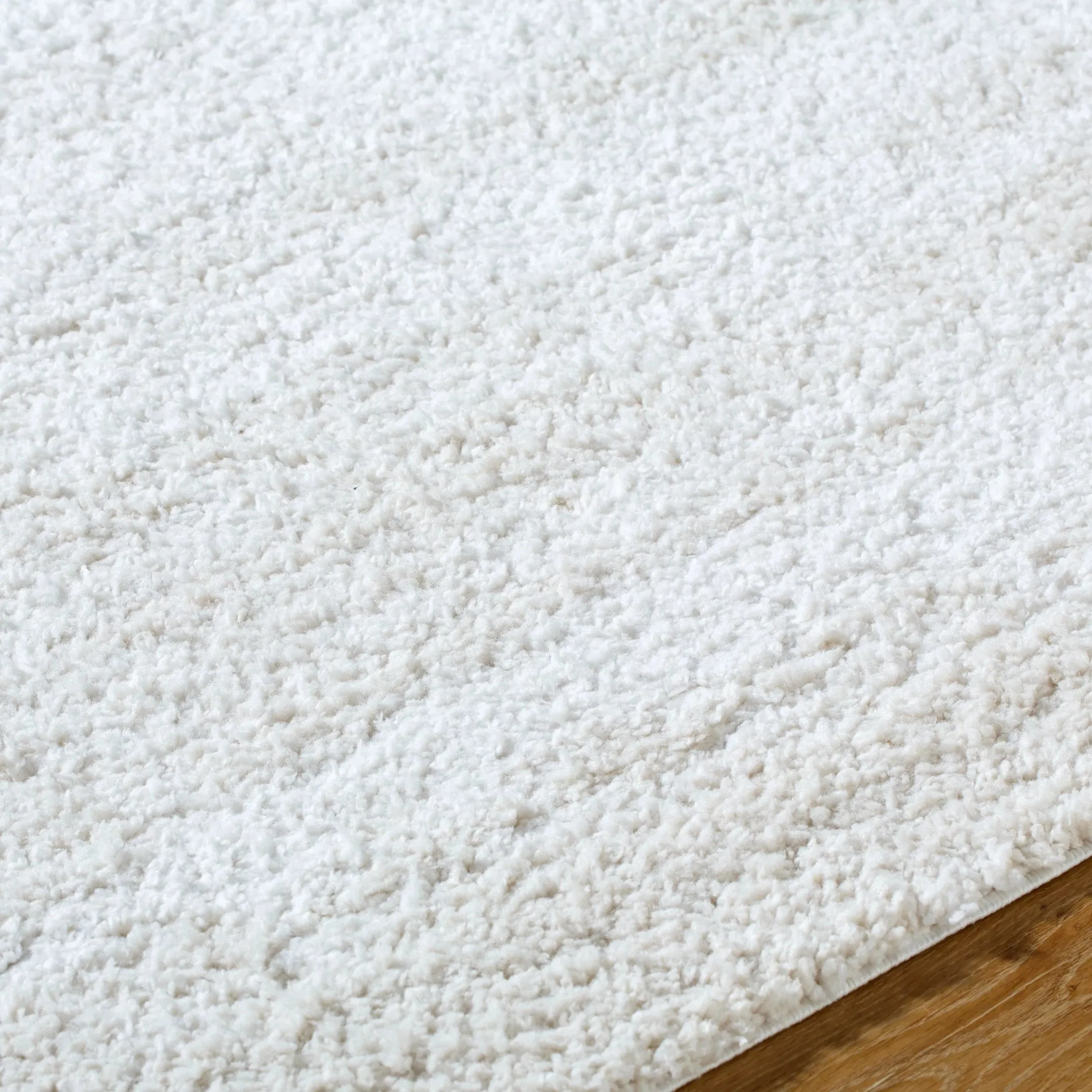 Sacramento Shag SCS-2301 Rug - Image 5