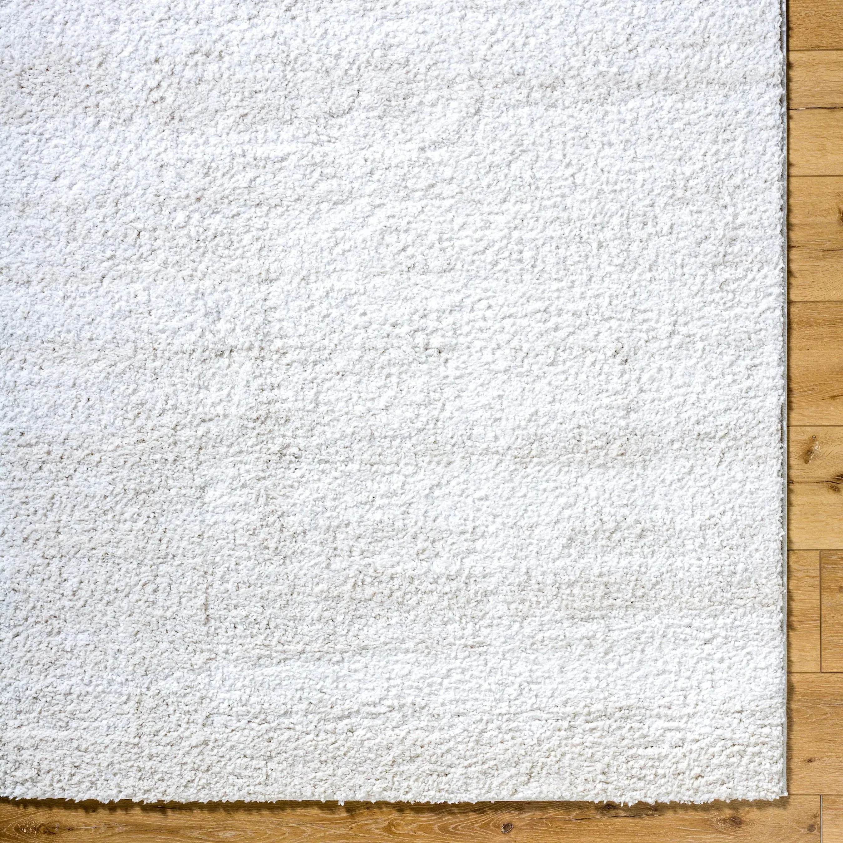 Sacramento Shag SCS-2301 Rug - Image 6