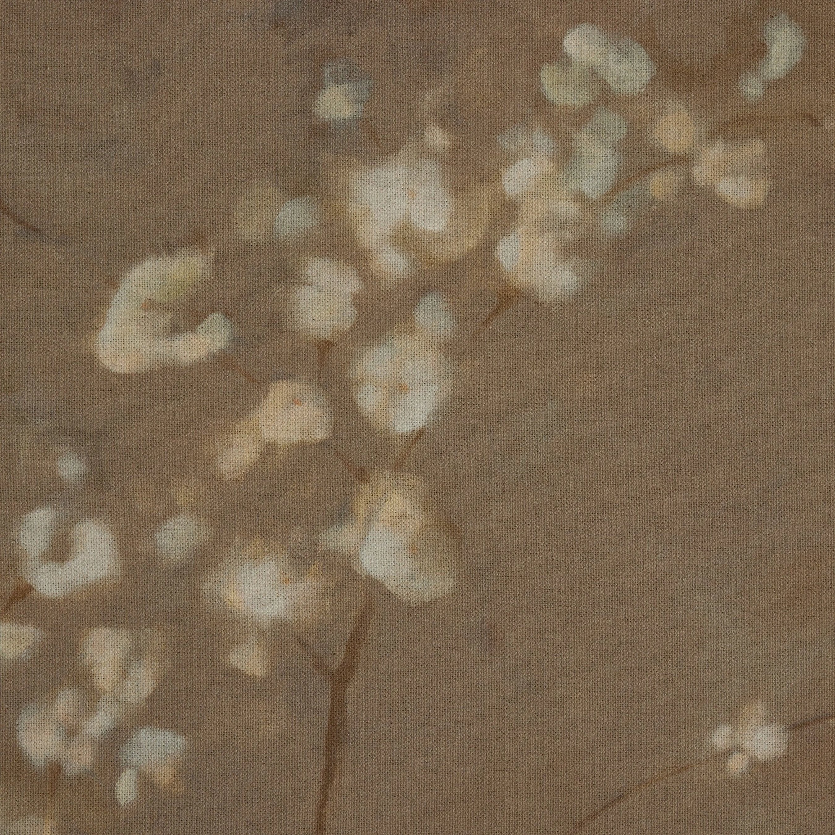 Sakura by Jess Engle - Image 4