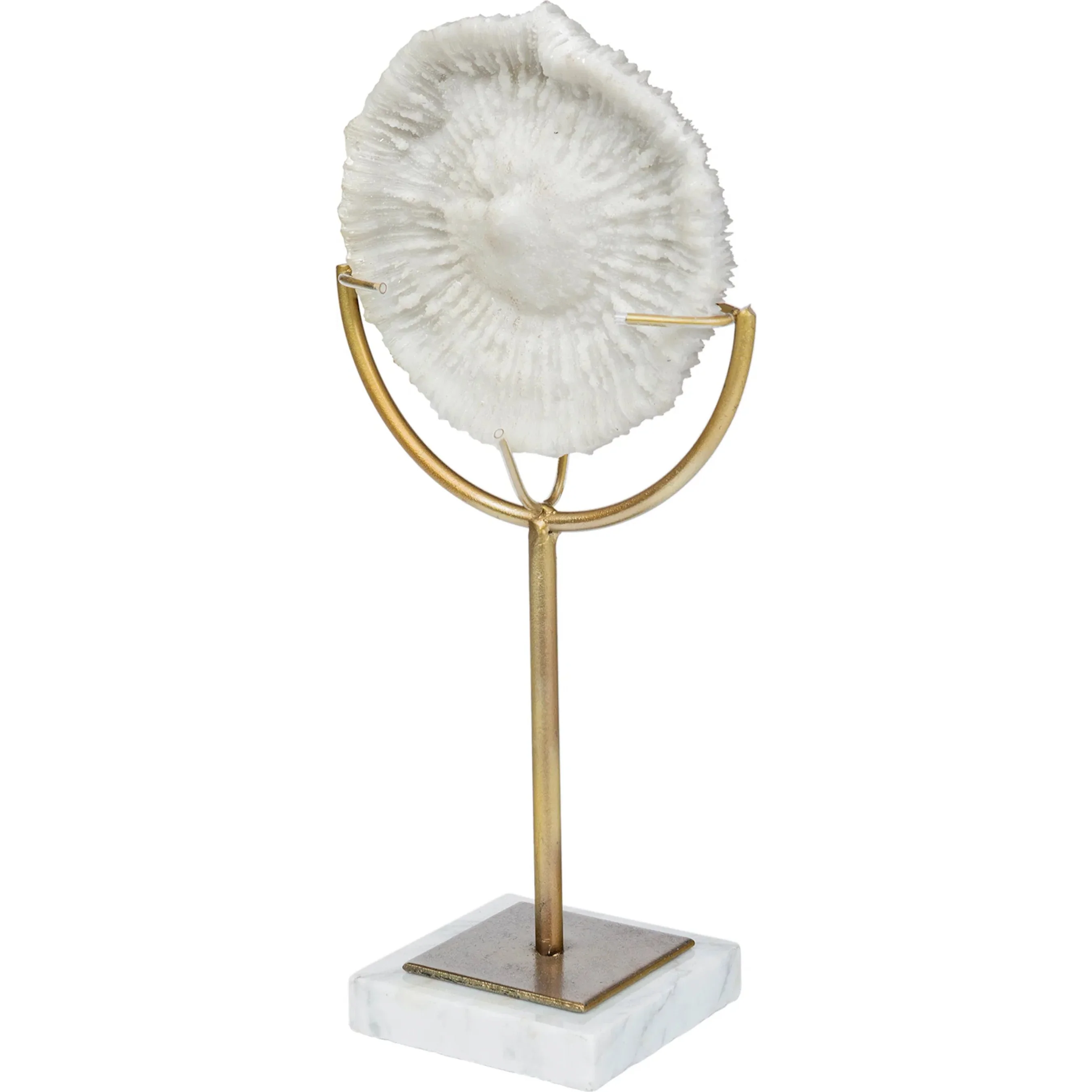 Sandy I Coastal Sand Dollar Object - Image 2