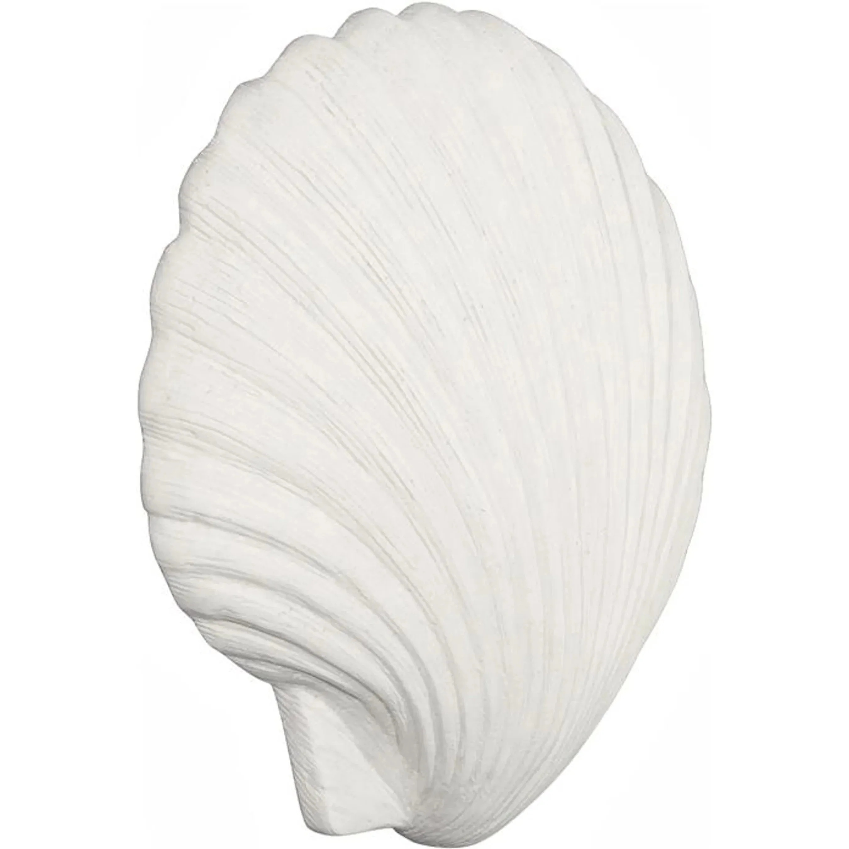 Sea Shell Wall Art - Image 2