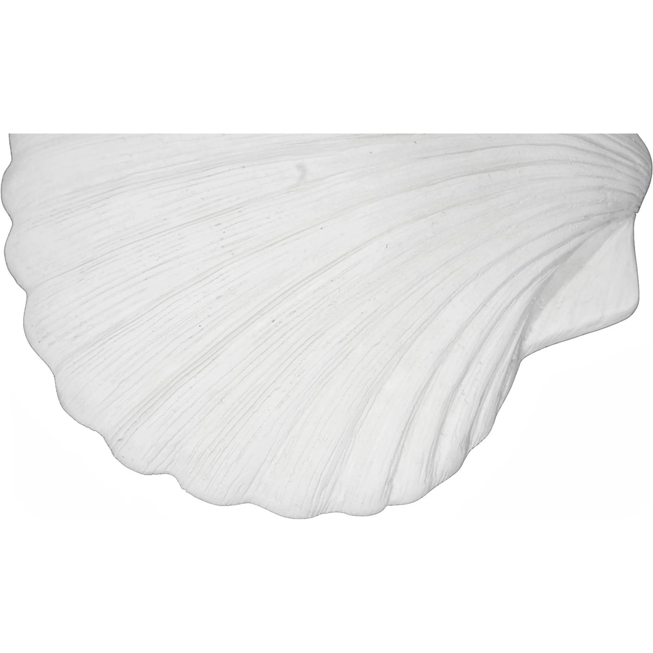 Sea Shell Wall Art - Image 6
