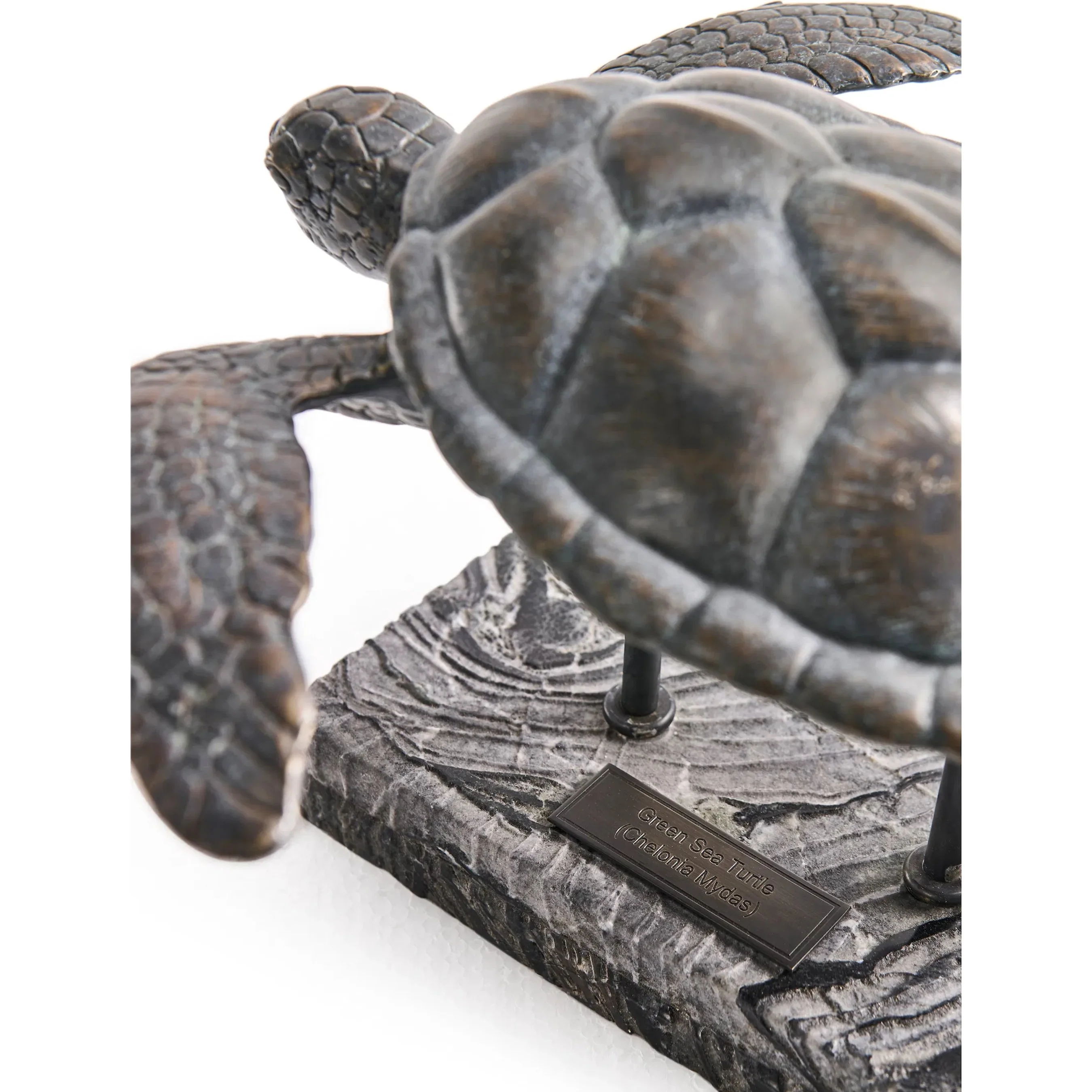 Sea Tortoise Bronze Statue with Marble Base - Image 11
