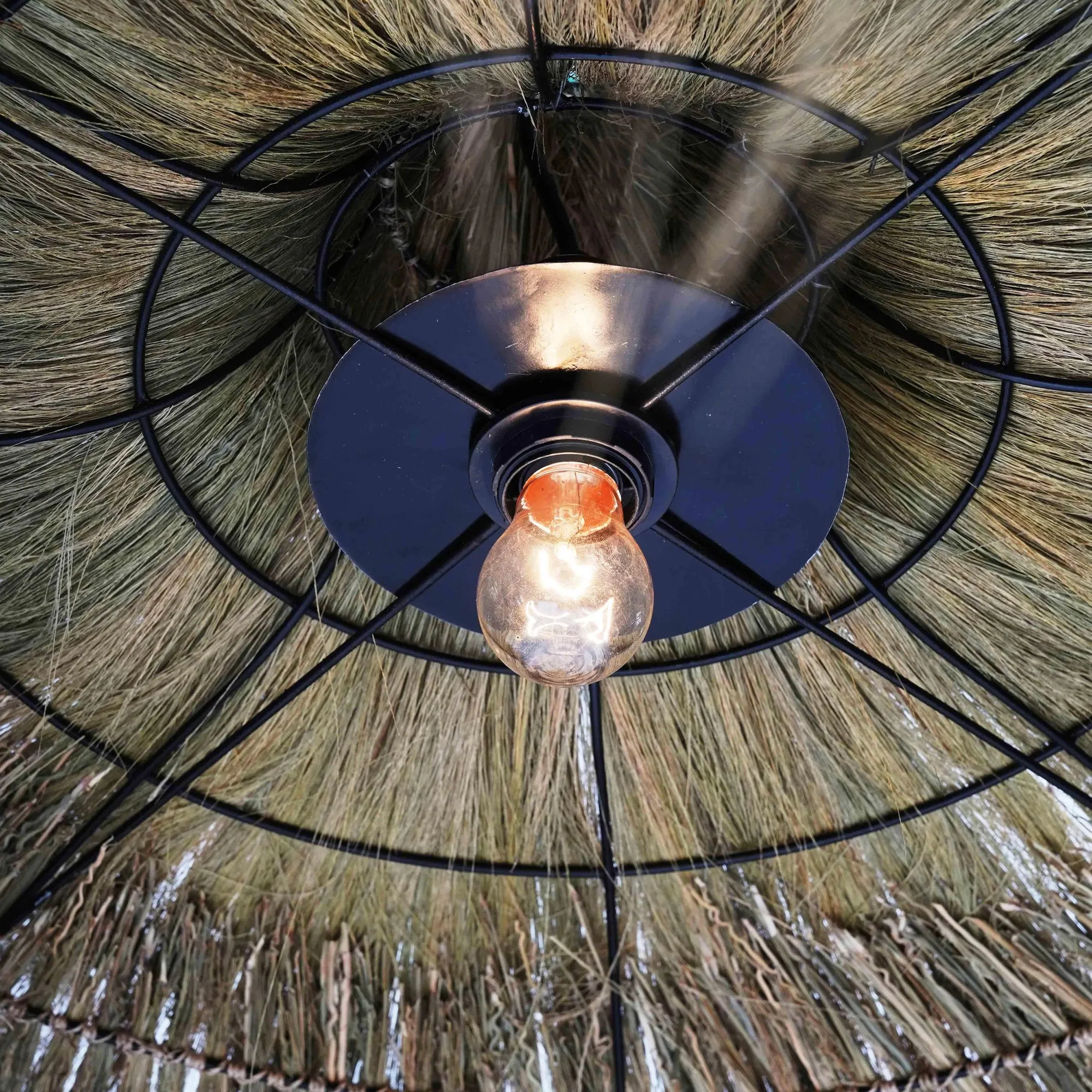 Serengeti Pendant Lamp - Image 2
