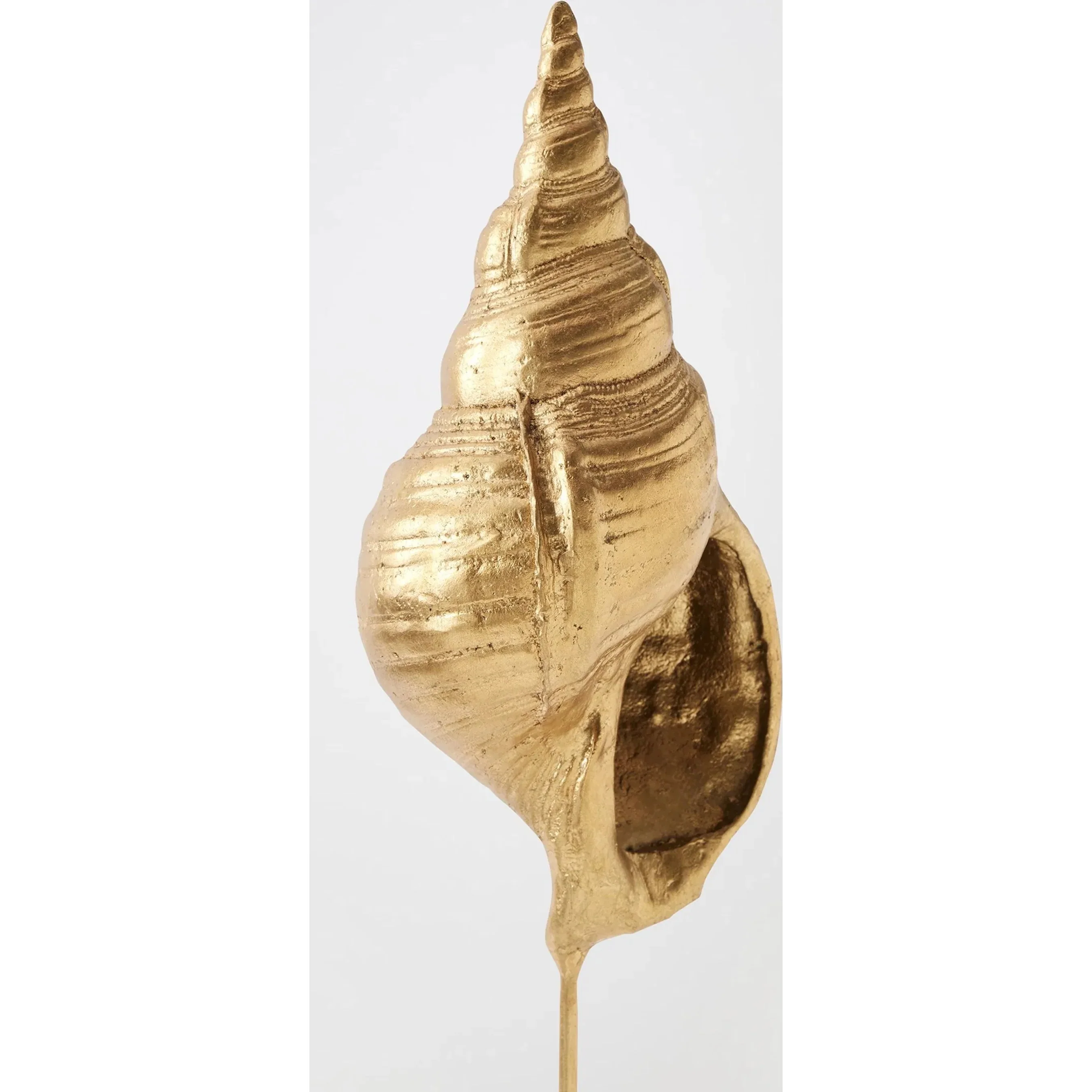 Shells on Marble - Image 9