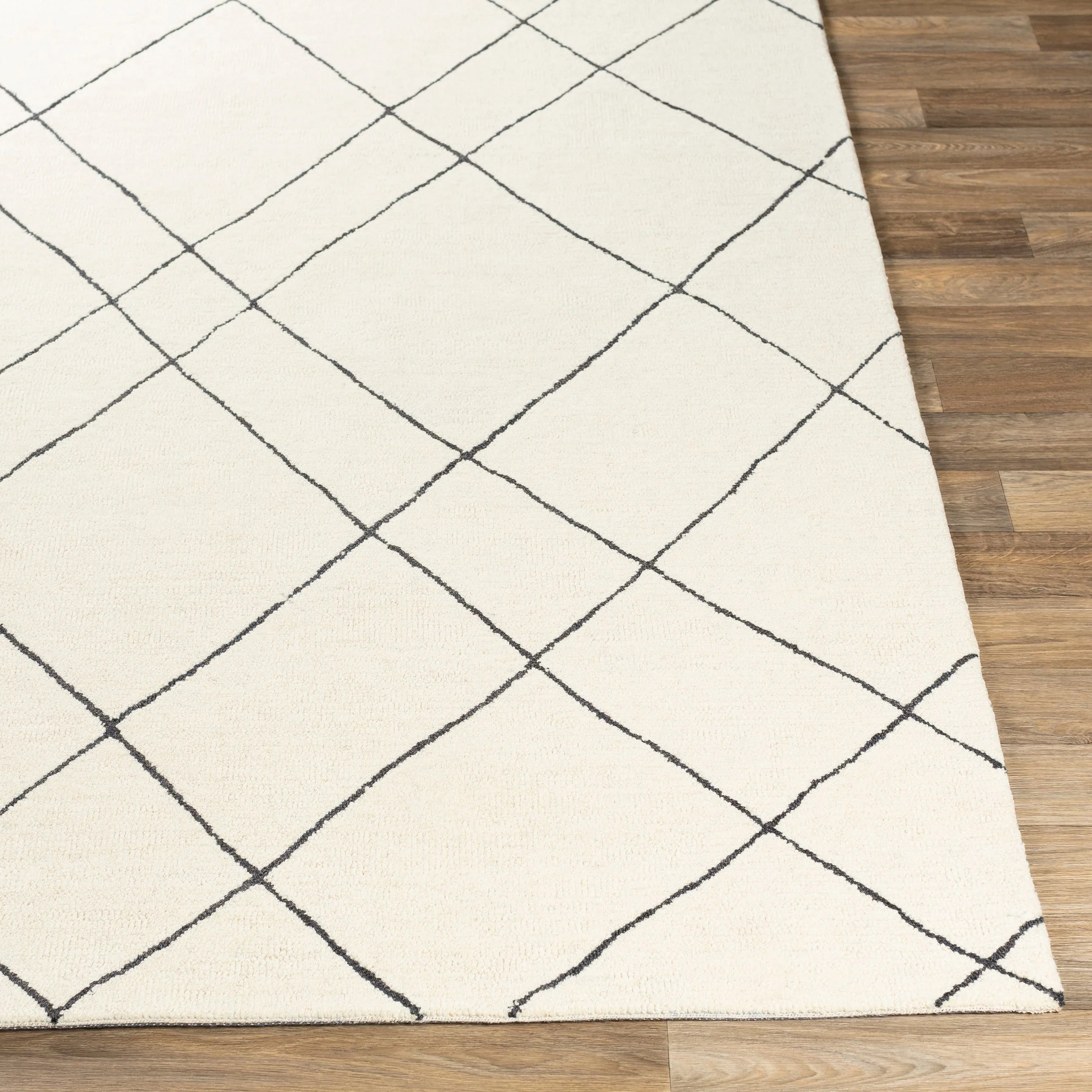 Sinop SNP-2304 Rug - Image 5