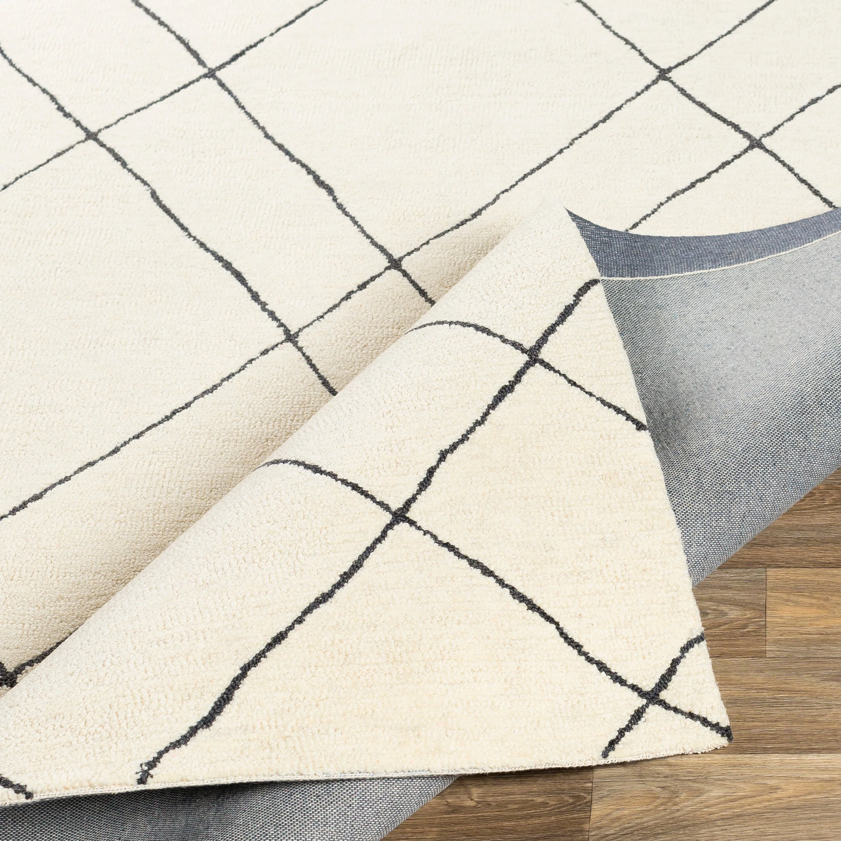 Sinop SNP-2304 Rug - Image 6