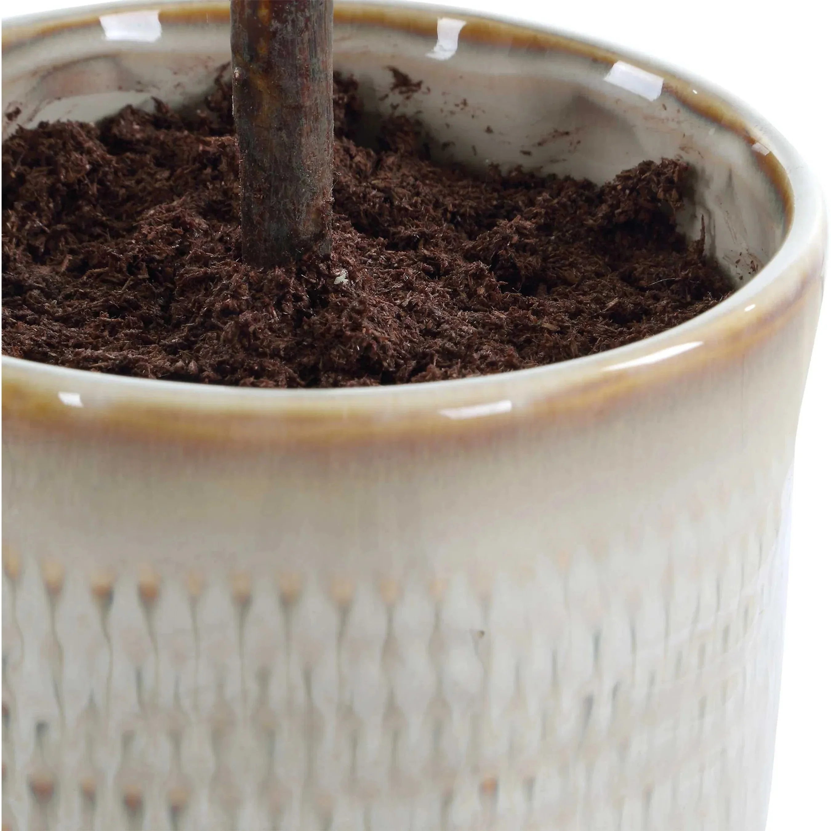 Solea Olive Accent & Textured Vase - Image 2
