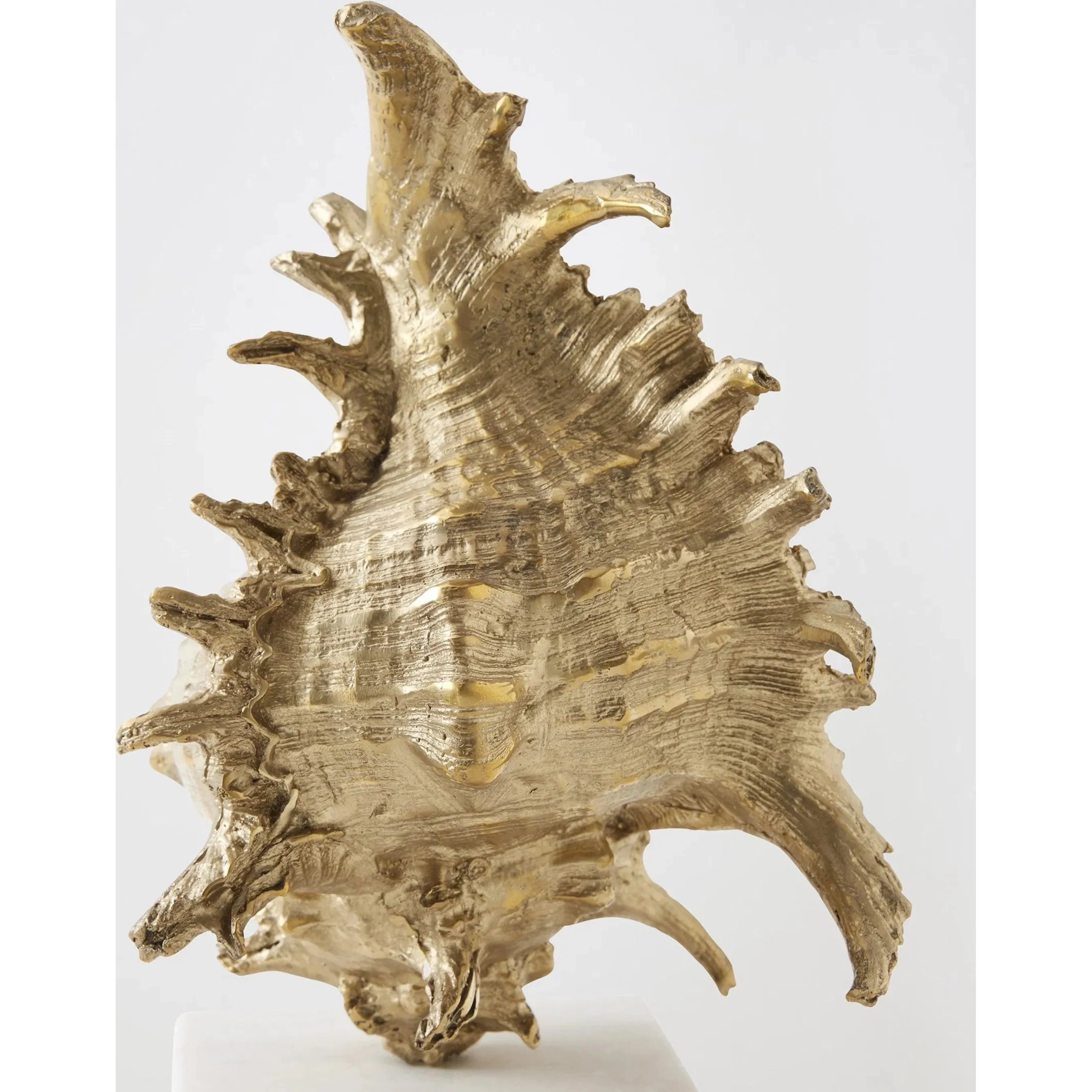 Spider Conch Shell Sculpture - Image 3