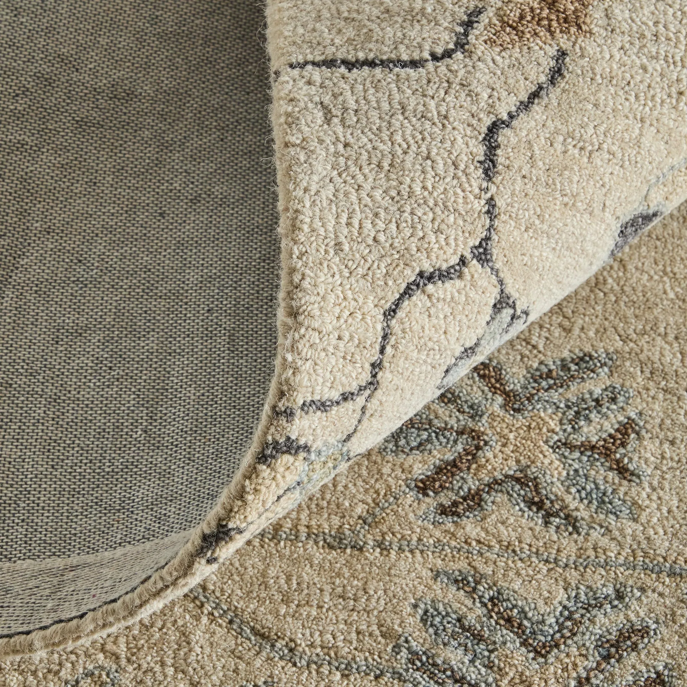 Springfield Transitional & Botanical SPF8A48F Rug - Image 6