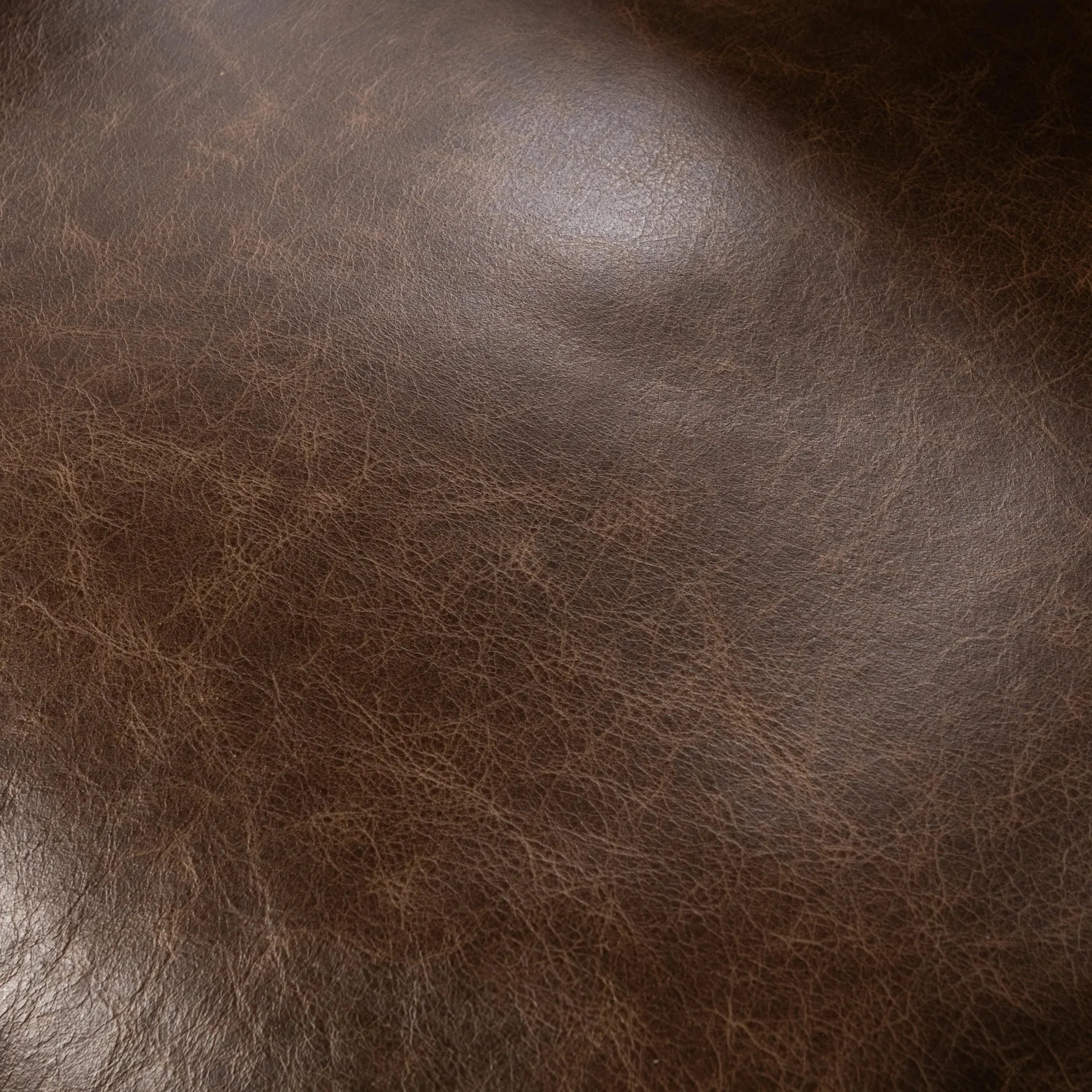 Strapling Leather Dining Chair - Image 26
