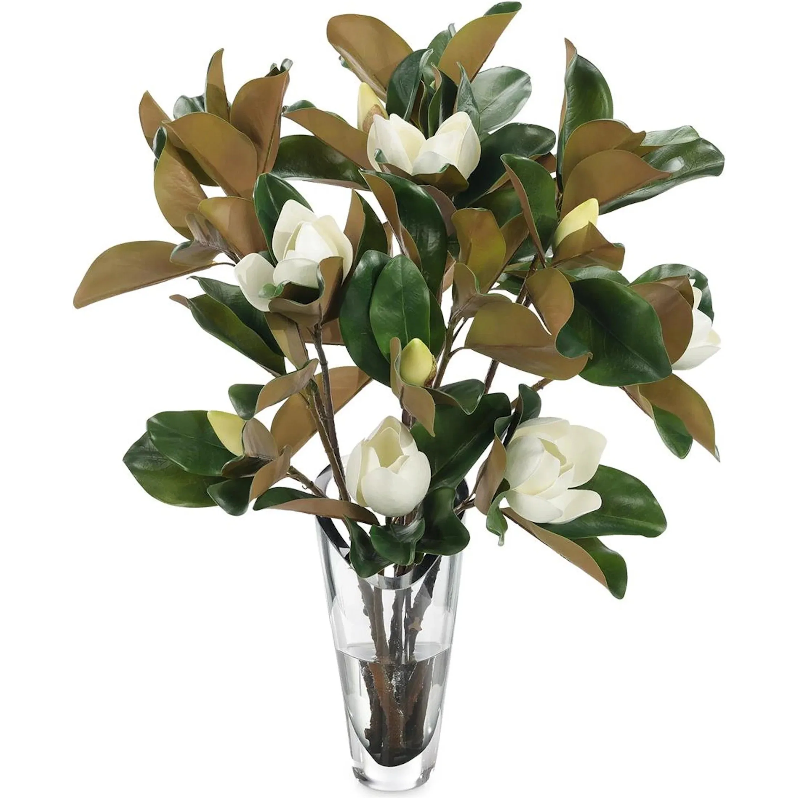 Summer Magnolia Blooms