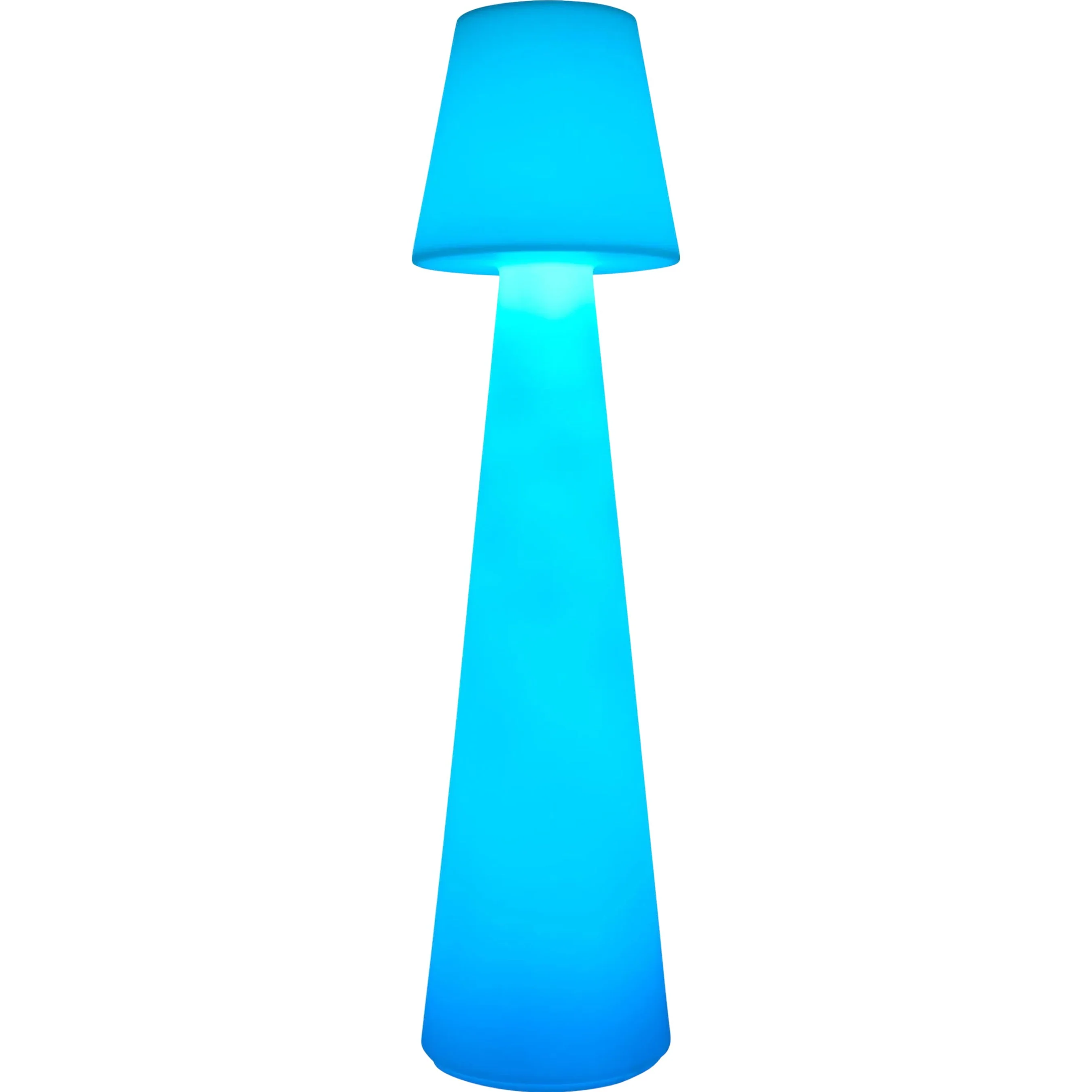 Summerfest Indoor/Outdoor Accent Floor Lamp