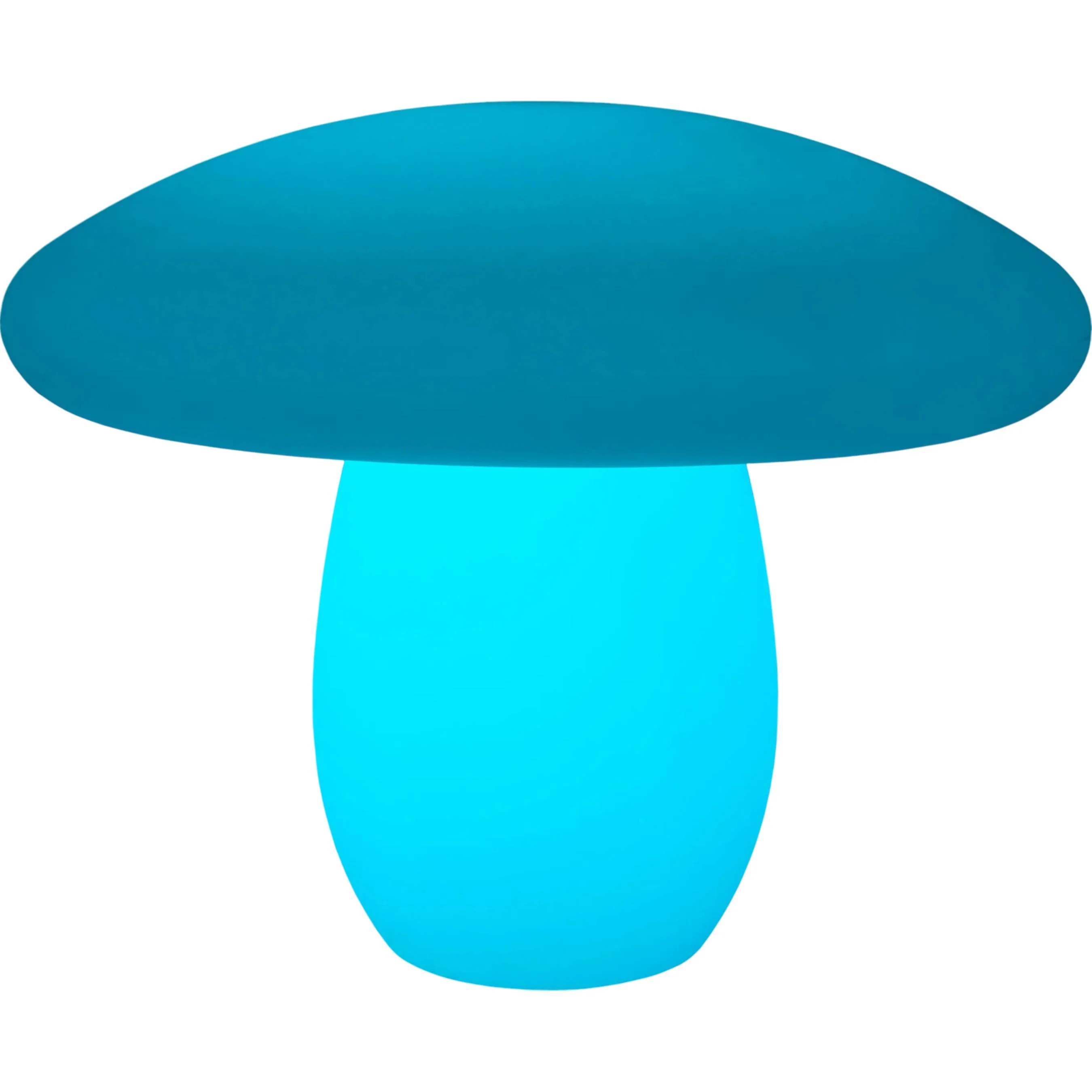 Summerfest Indoor/Outdoor Accent Table Lamp