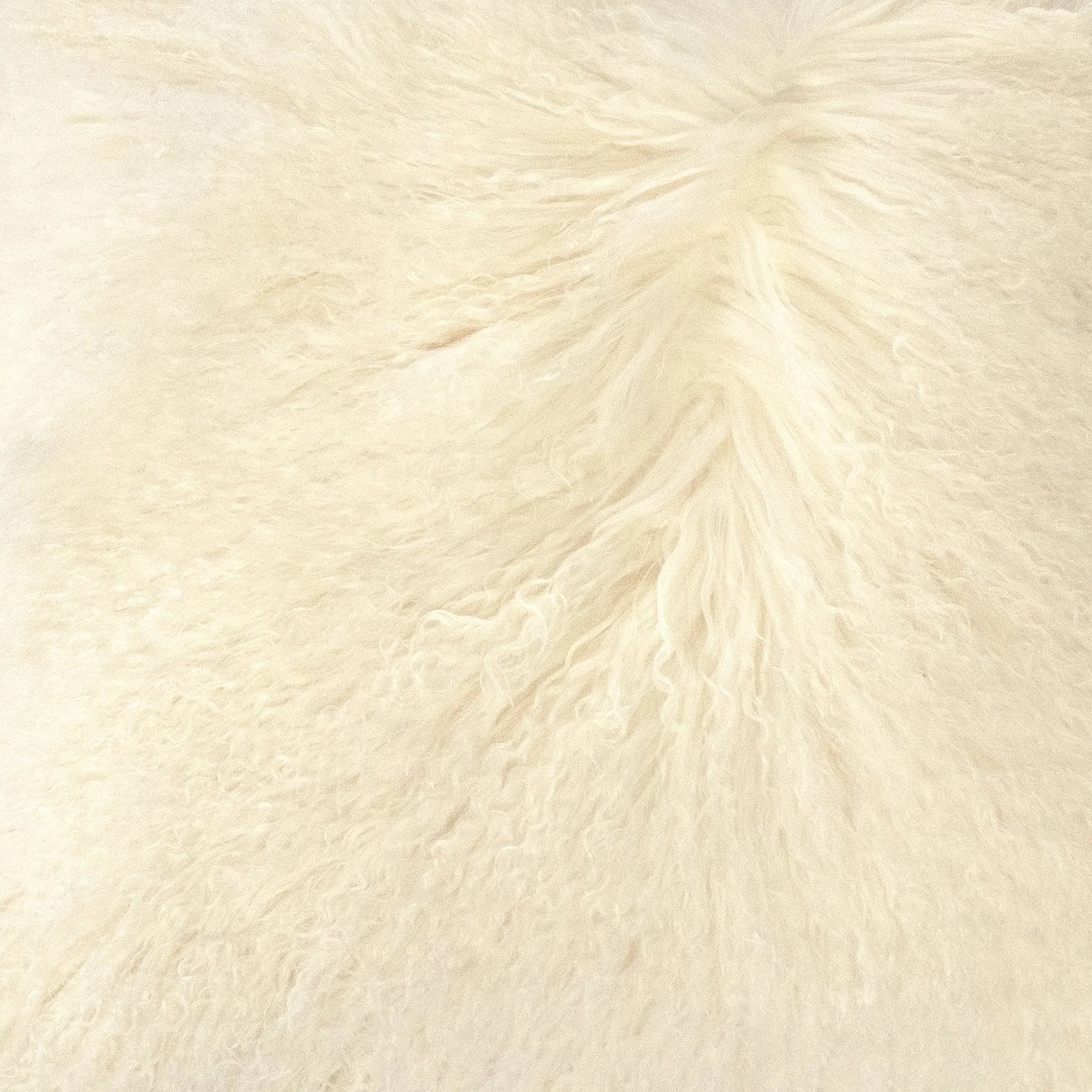 Tibetan Black Lamb Fur Pillow - Image 6