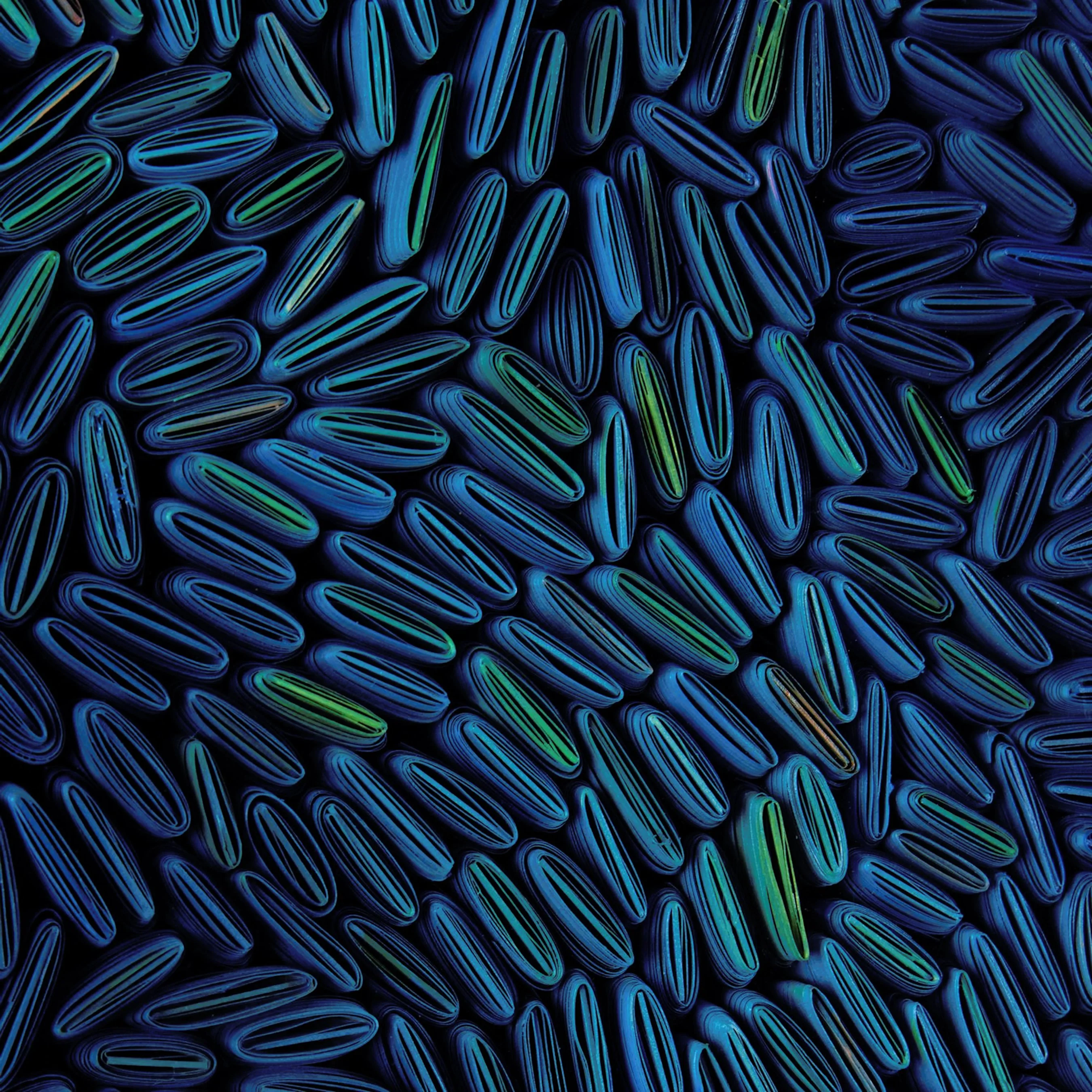 Tony Fey's Cerulean Swells - Image 4
