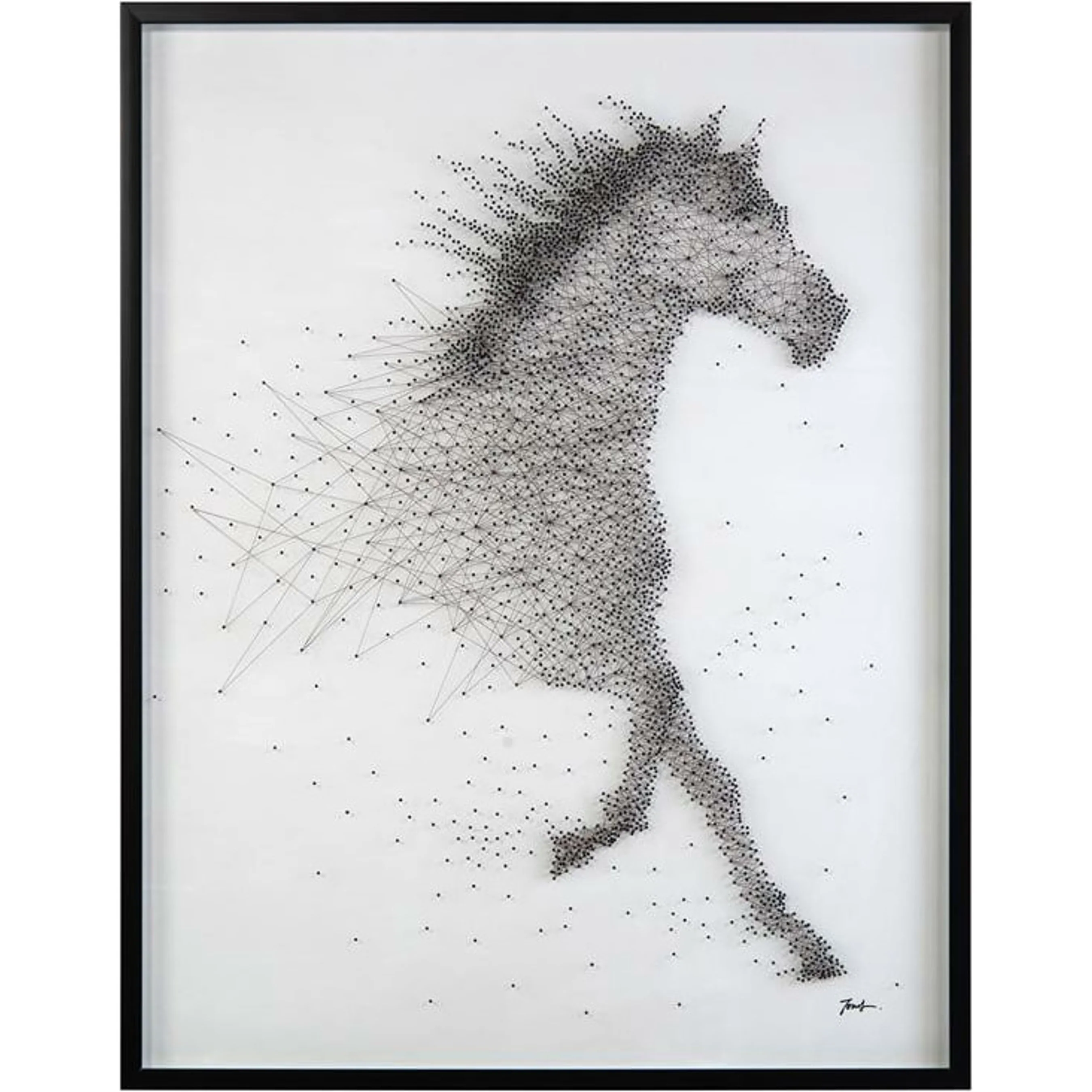 Tony Fey's Sprinting Stallion