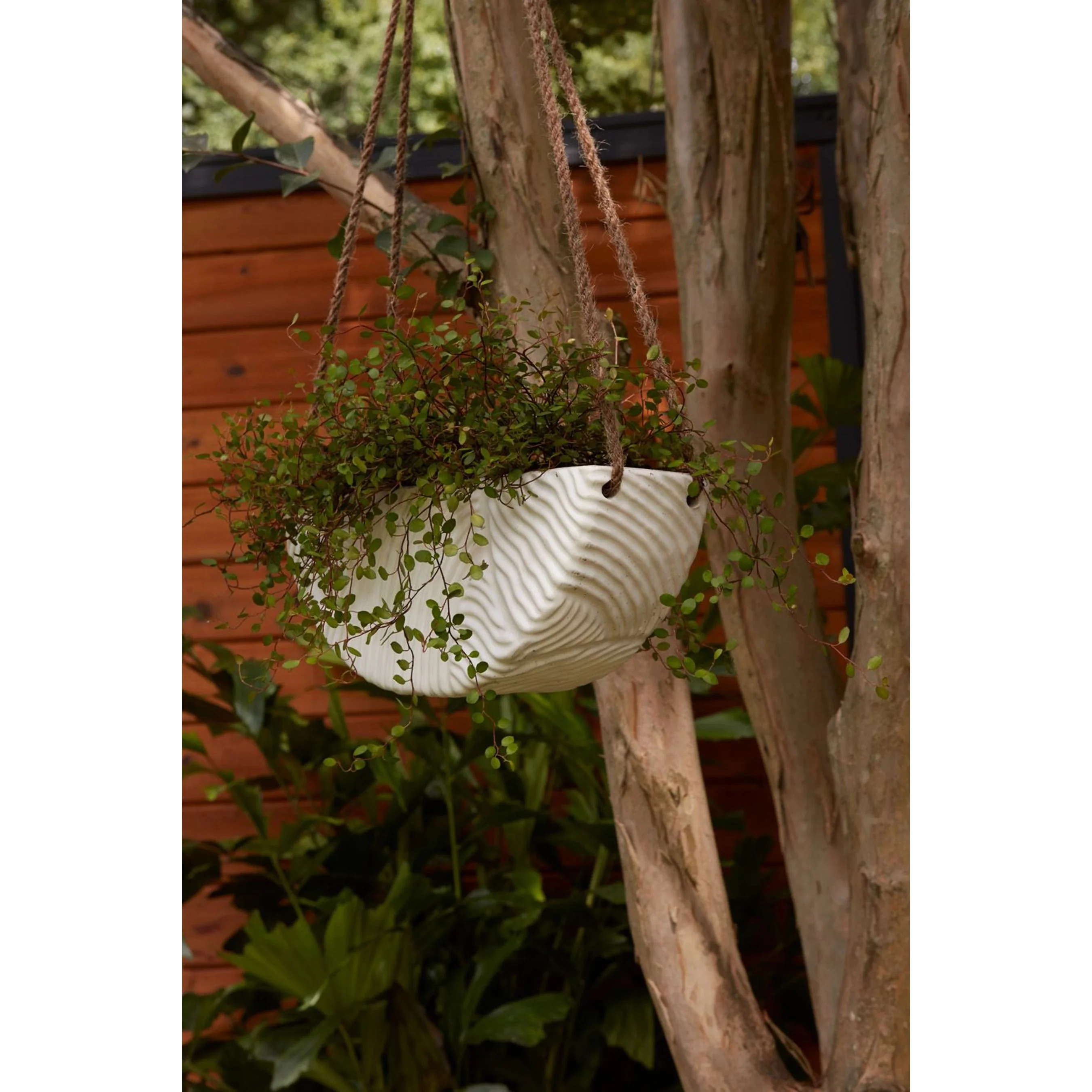 Topography Hanging Planter - Image 2