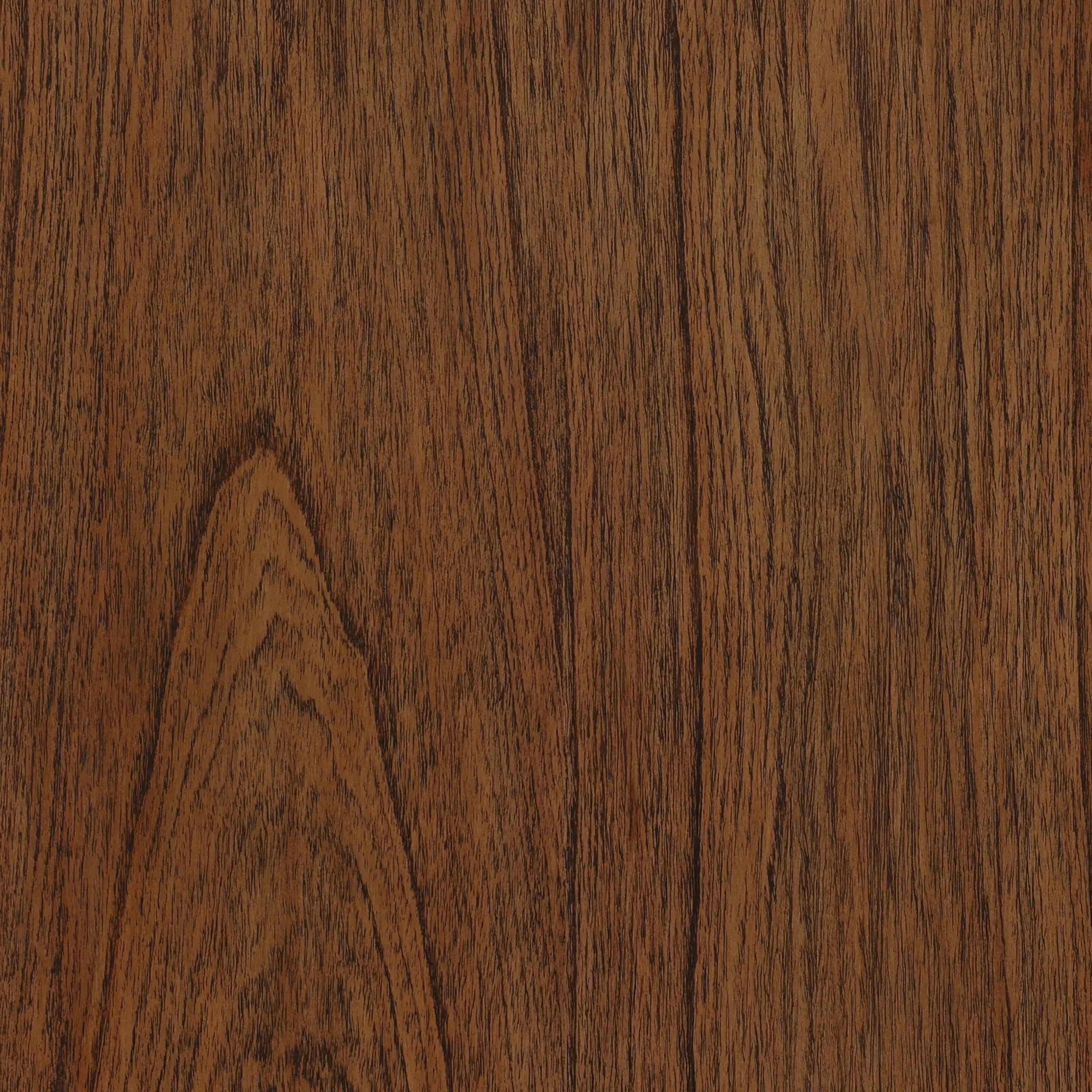 Toya Cabinet - Image 6