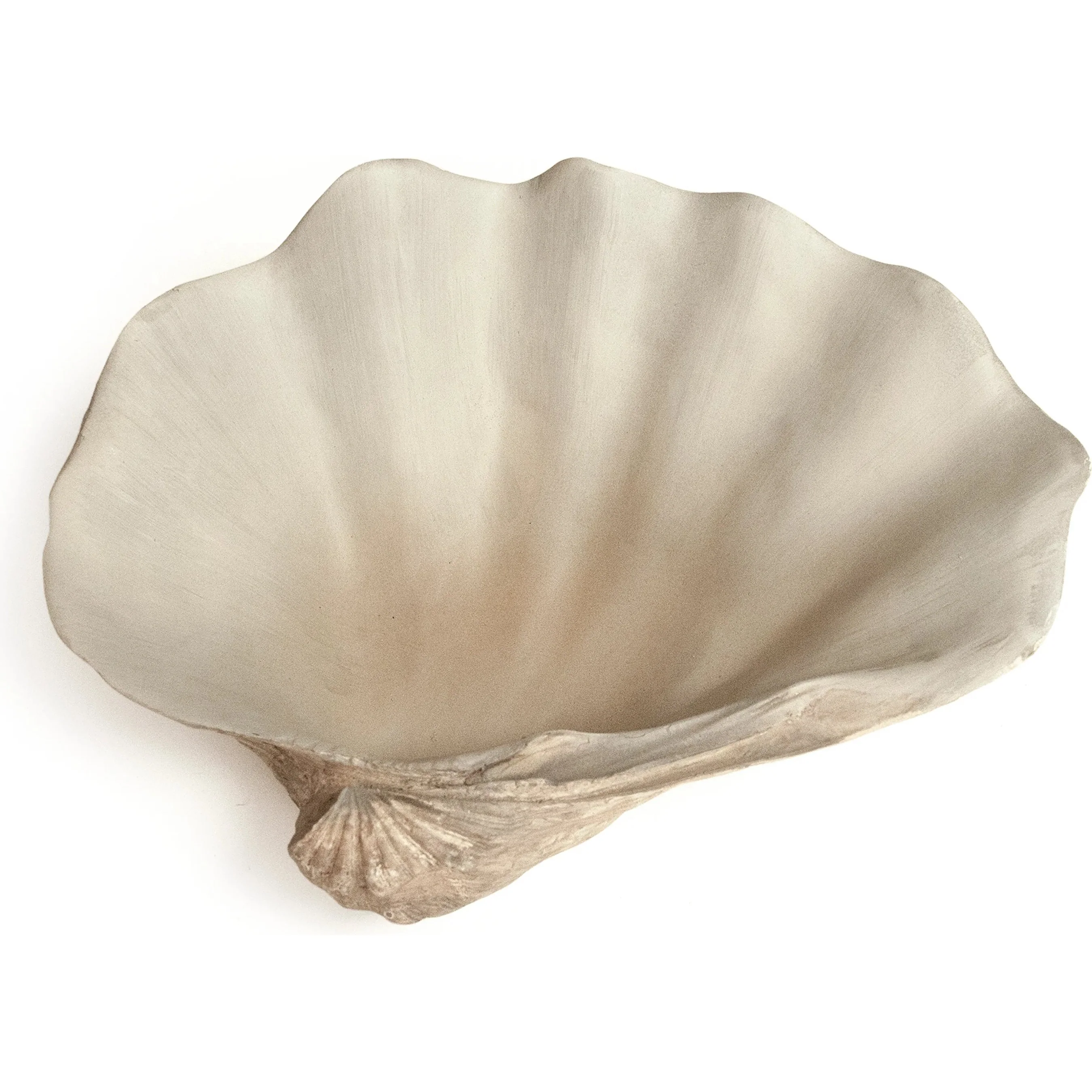 Tridacna Half Shell Bowl - Image 3