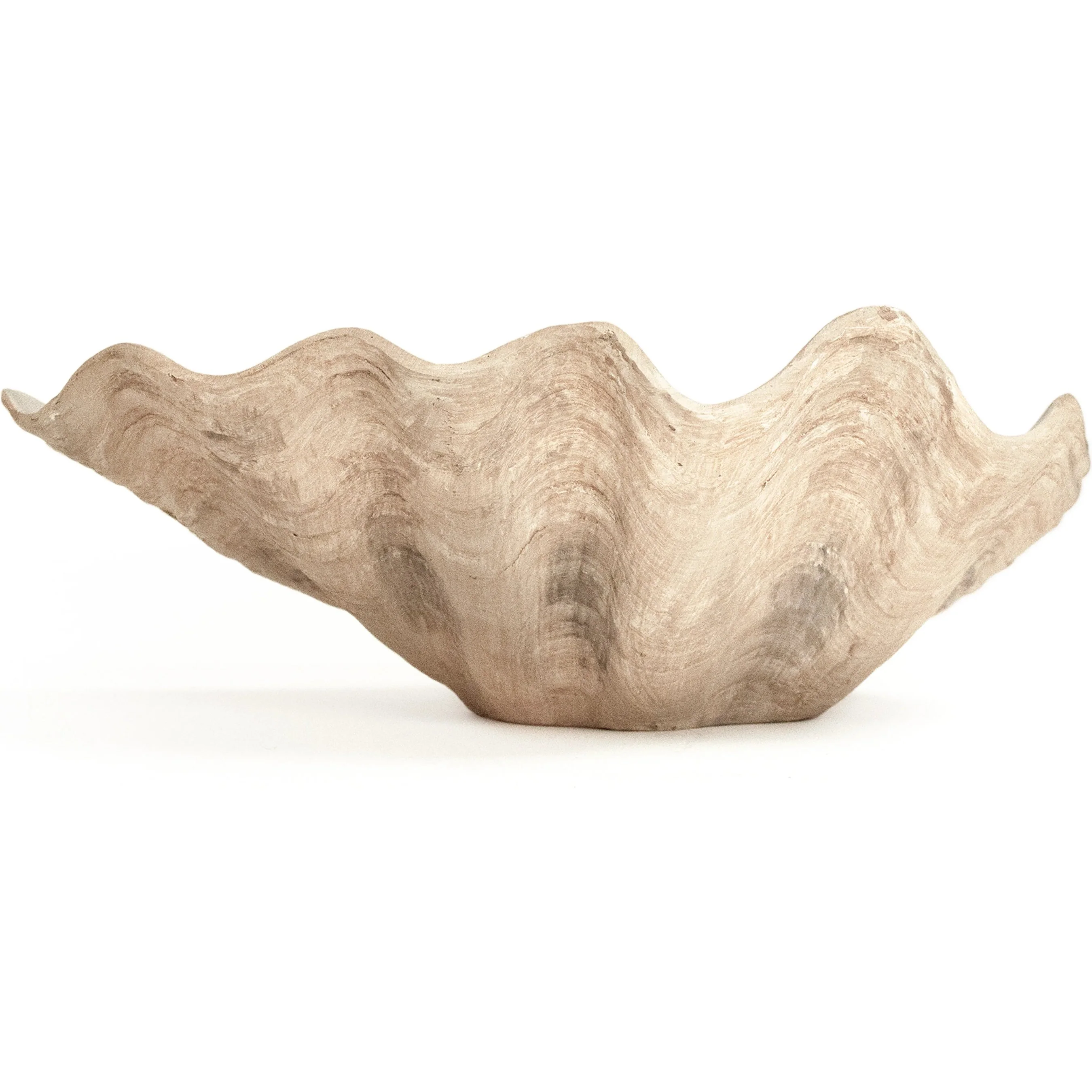 Tridacna Half Shell Bowl - Image 4