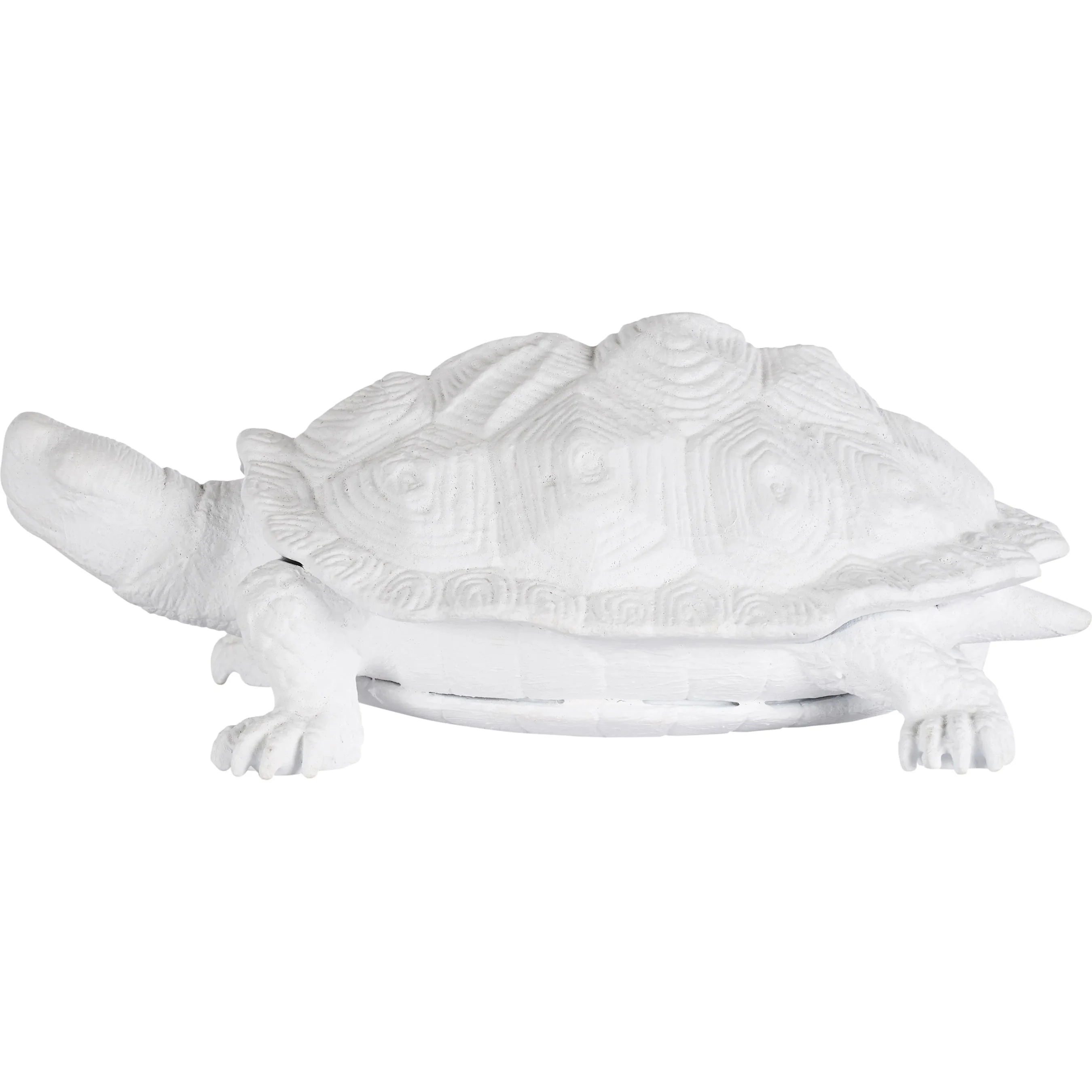 Turtle - Image 3
