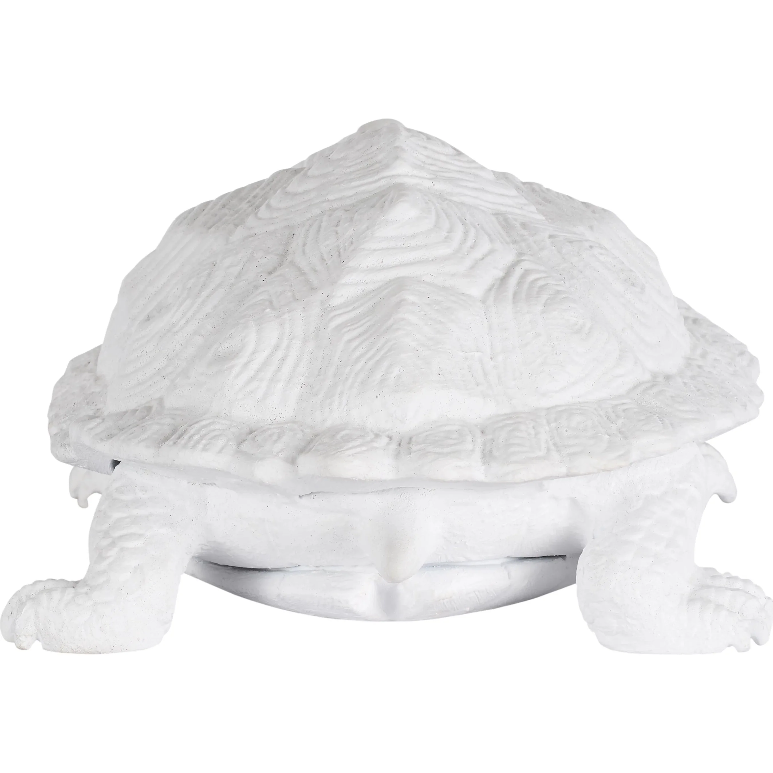 Turtle - Image 4