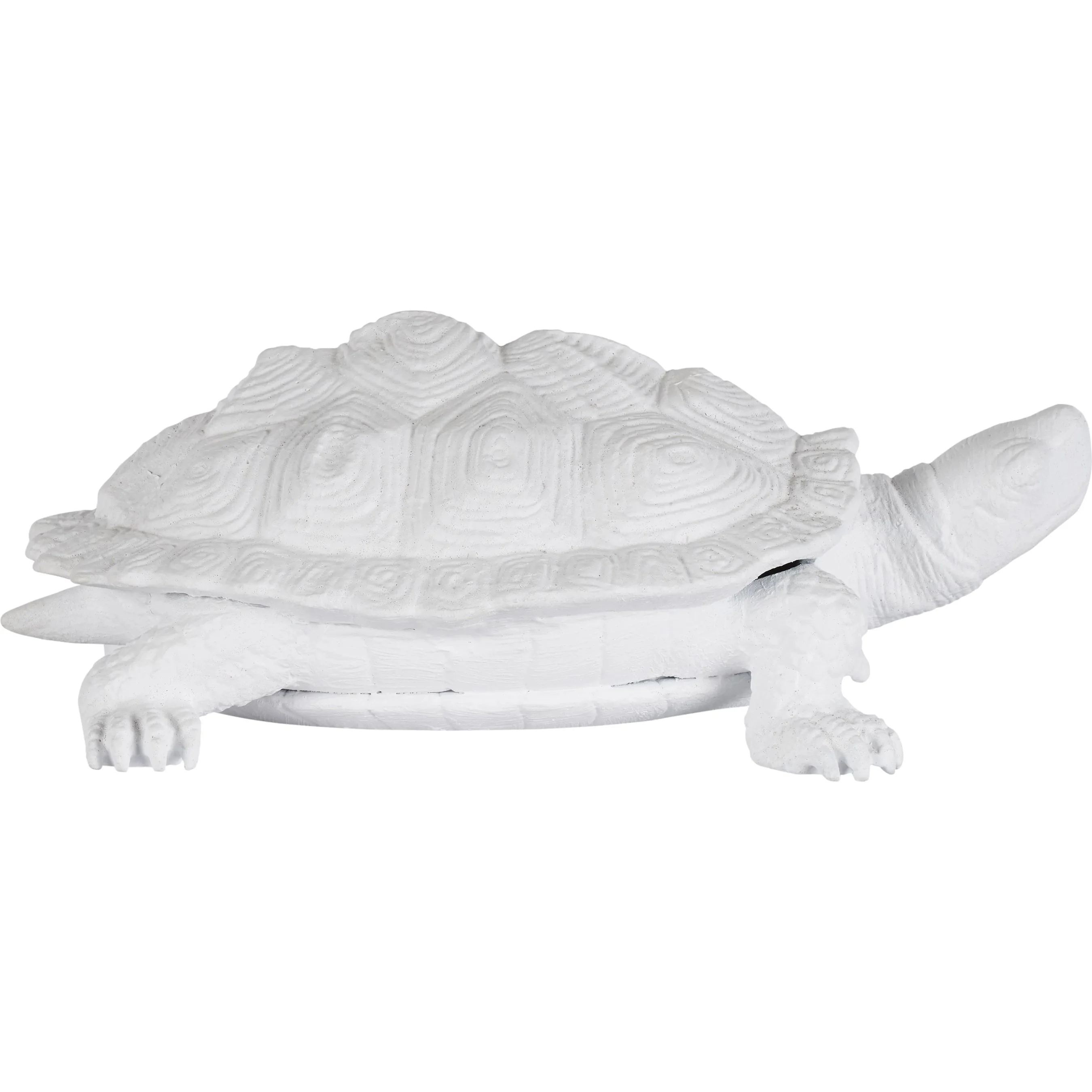 Turtle - Image 5