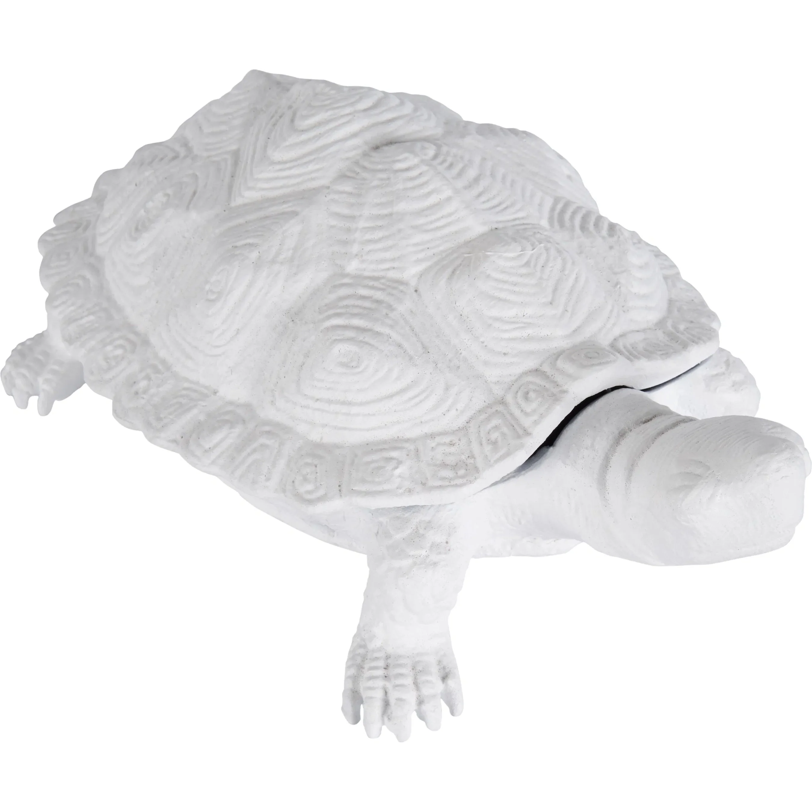 Turtle - Image 6