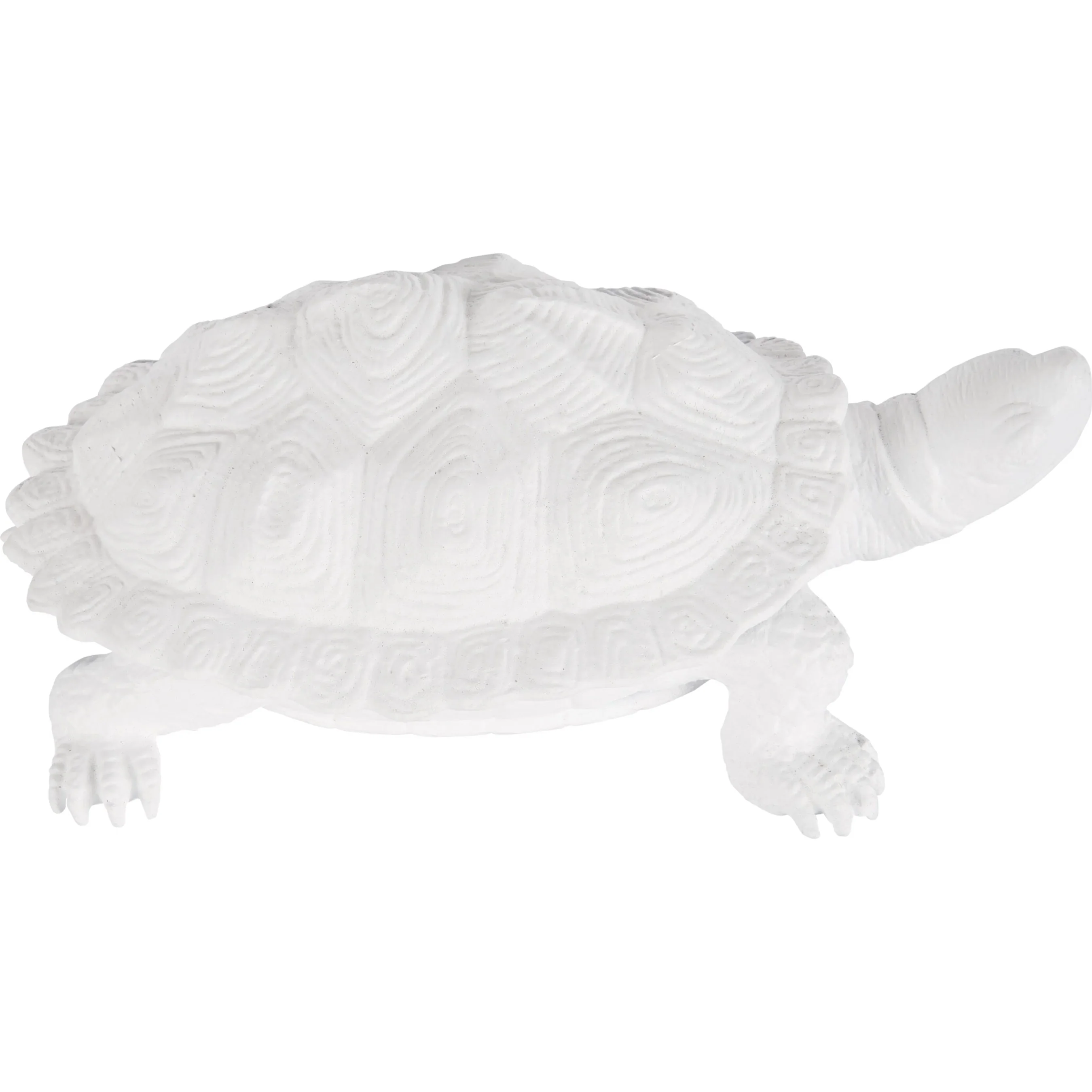 Turtle - Image 7