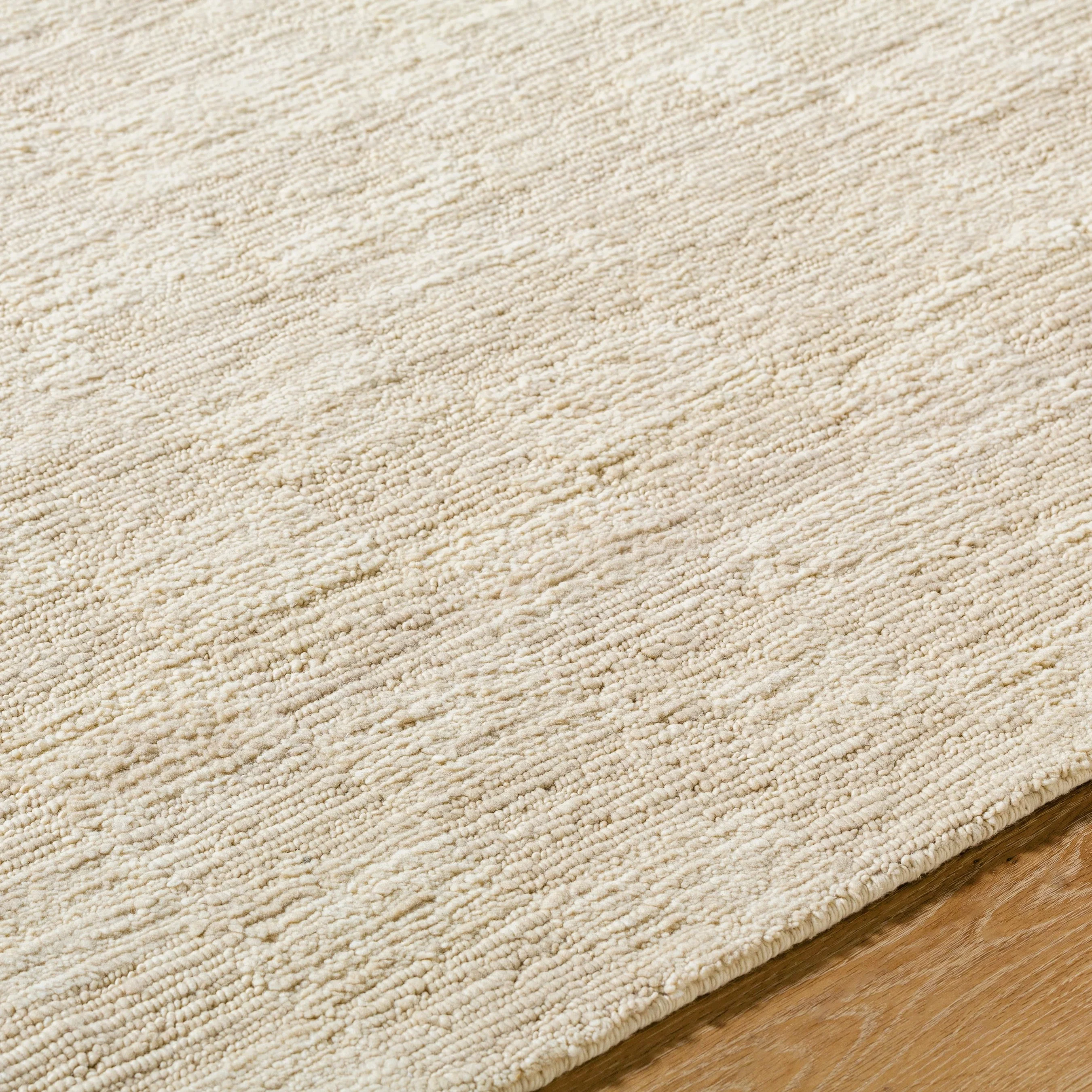Ventura VNR-2301 Rug - Image 4