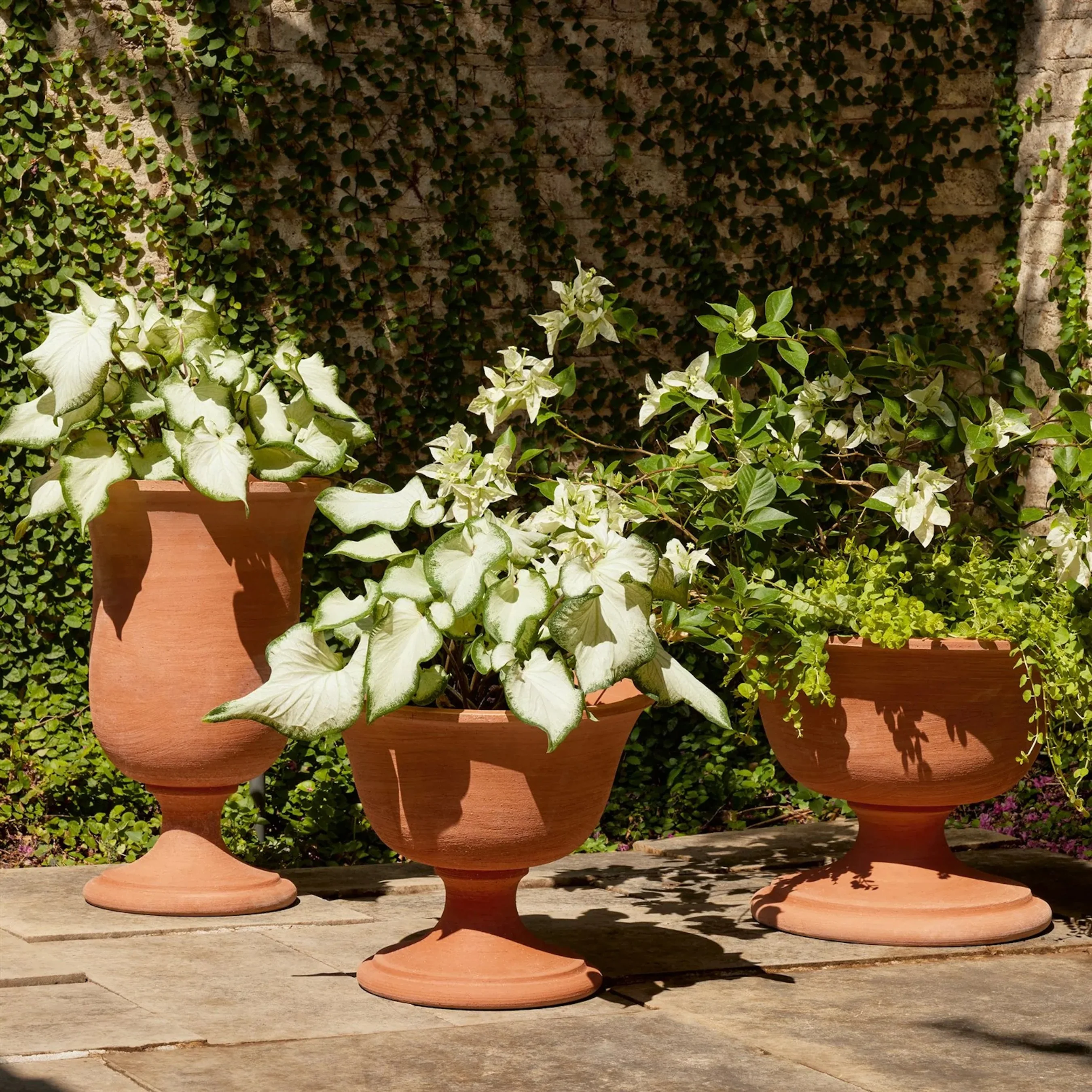 Villa Chalice Compote - Image 5