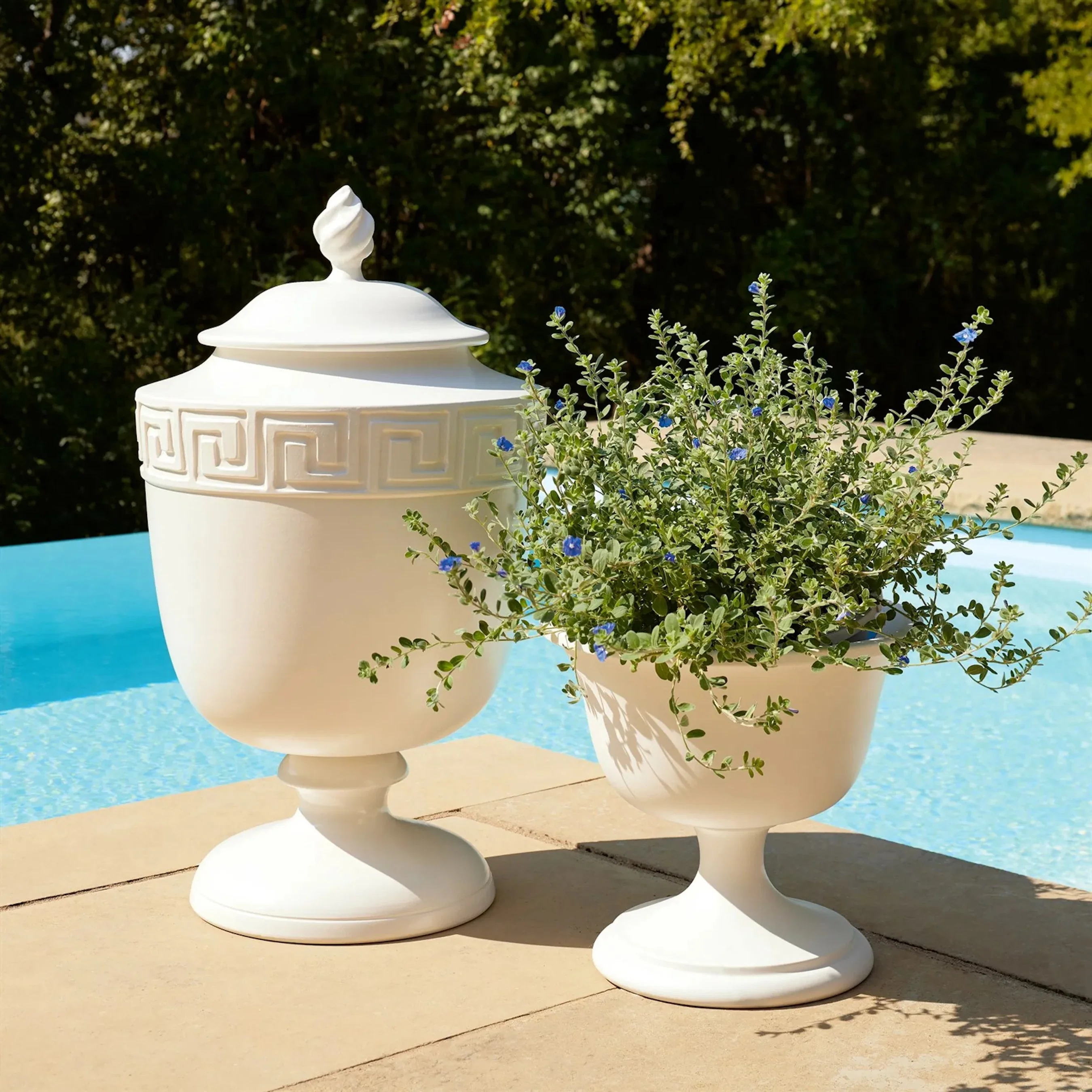 Villa Chalice Compote - Image 6