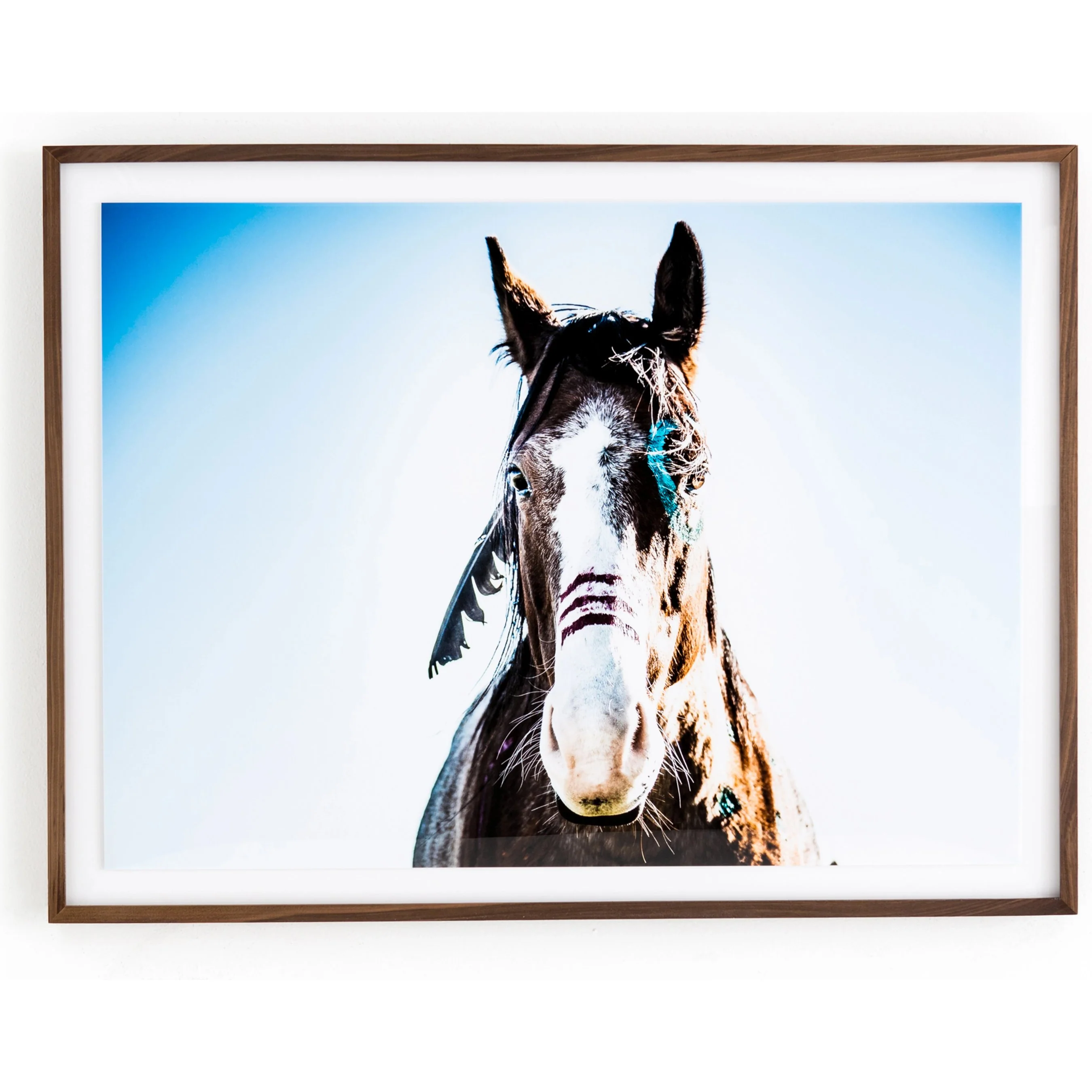War Horse by Samantha Callioux - Image 4