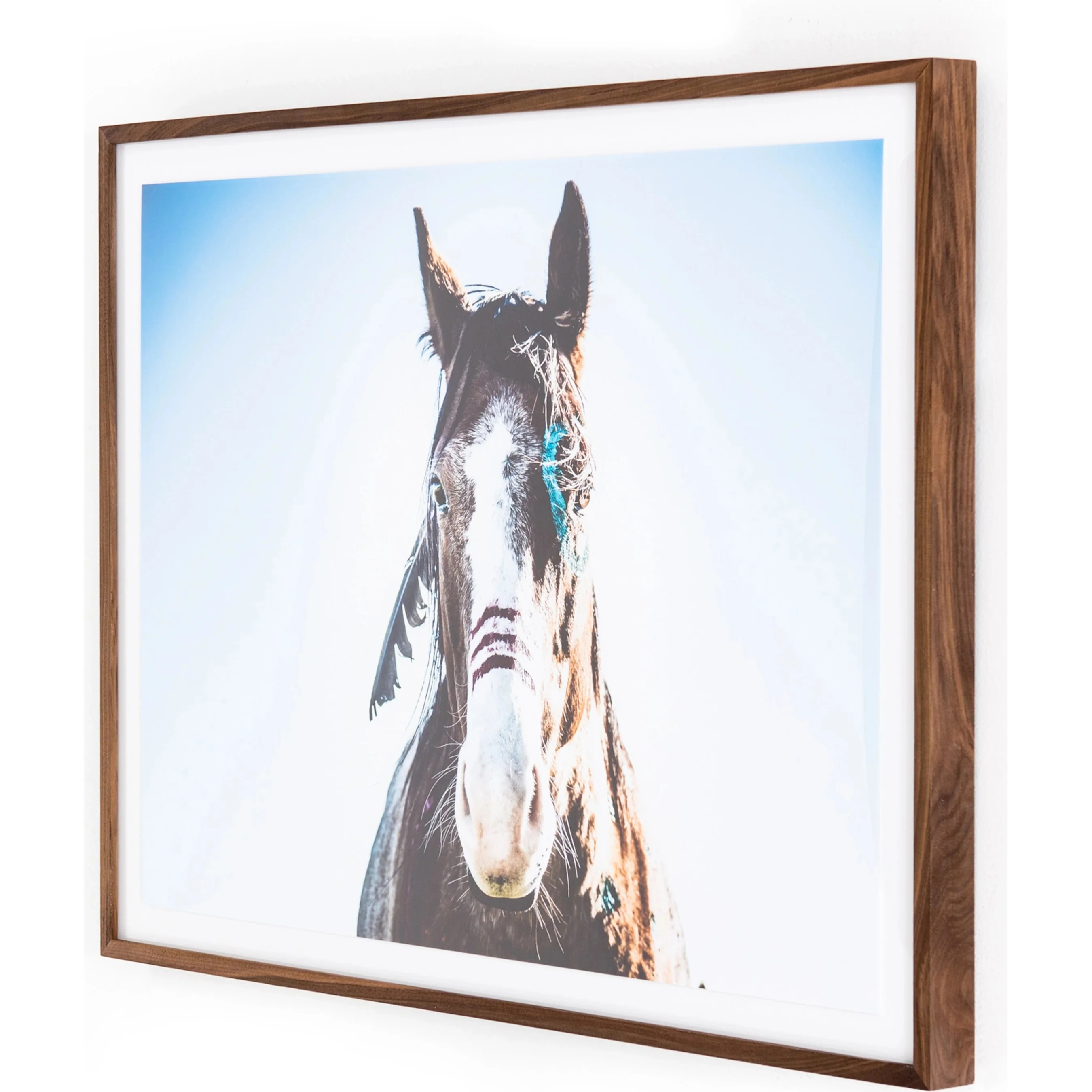 War Horse by Samantha Callioux - Image 7