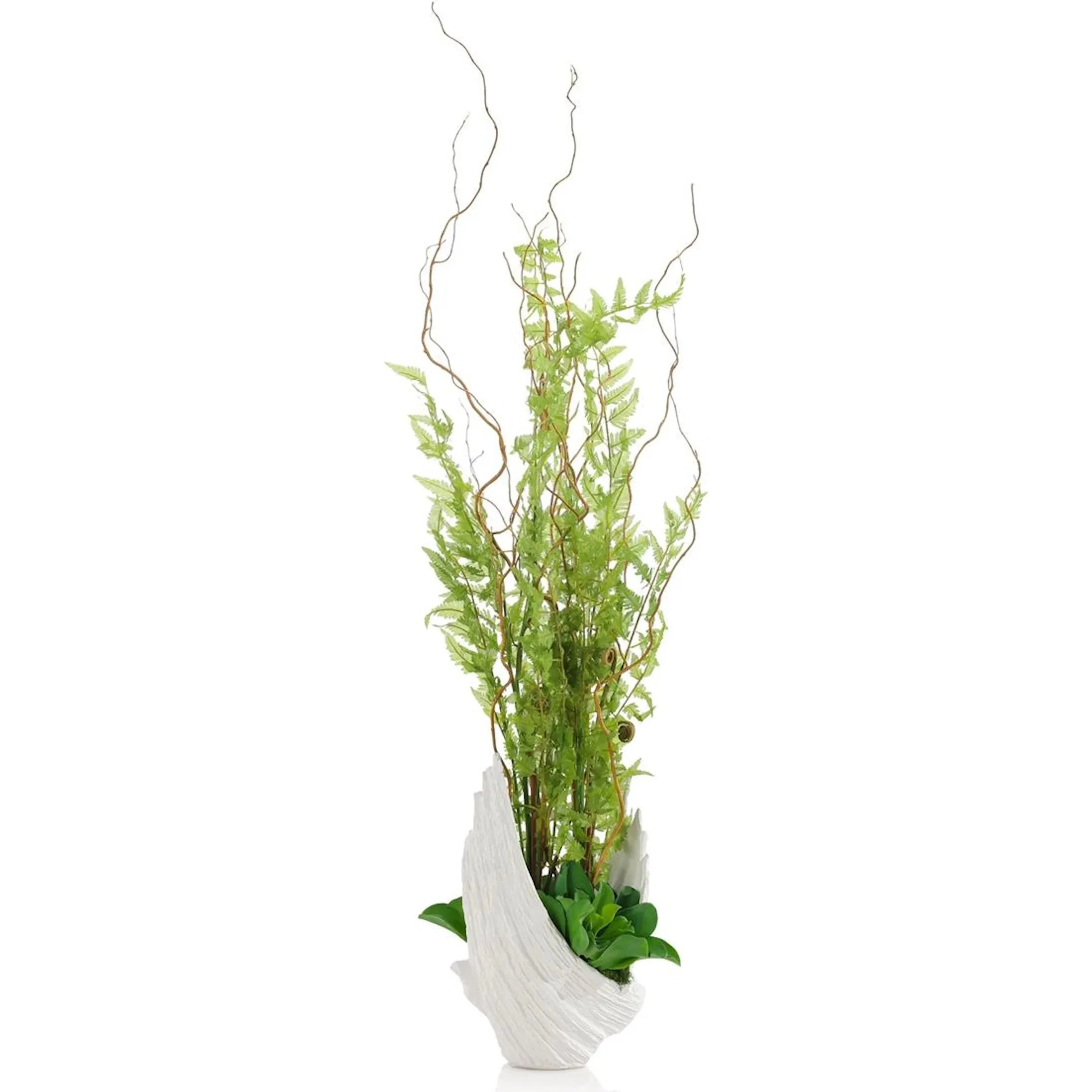 Winged Fern Garden