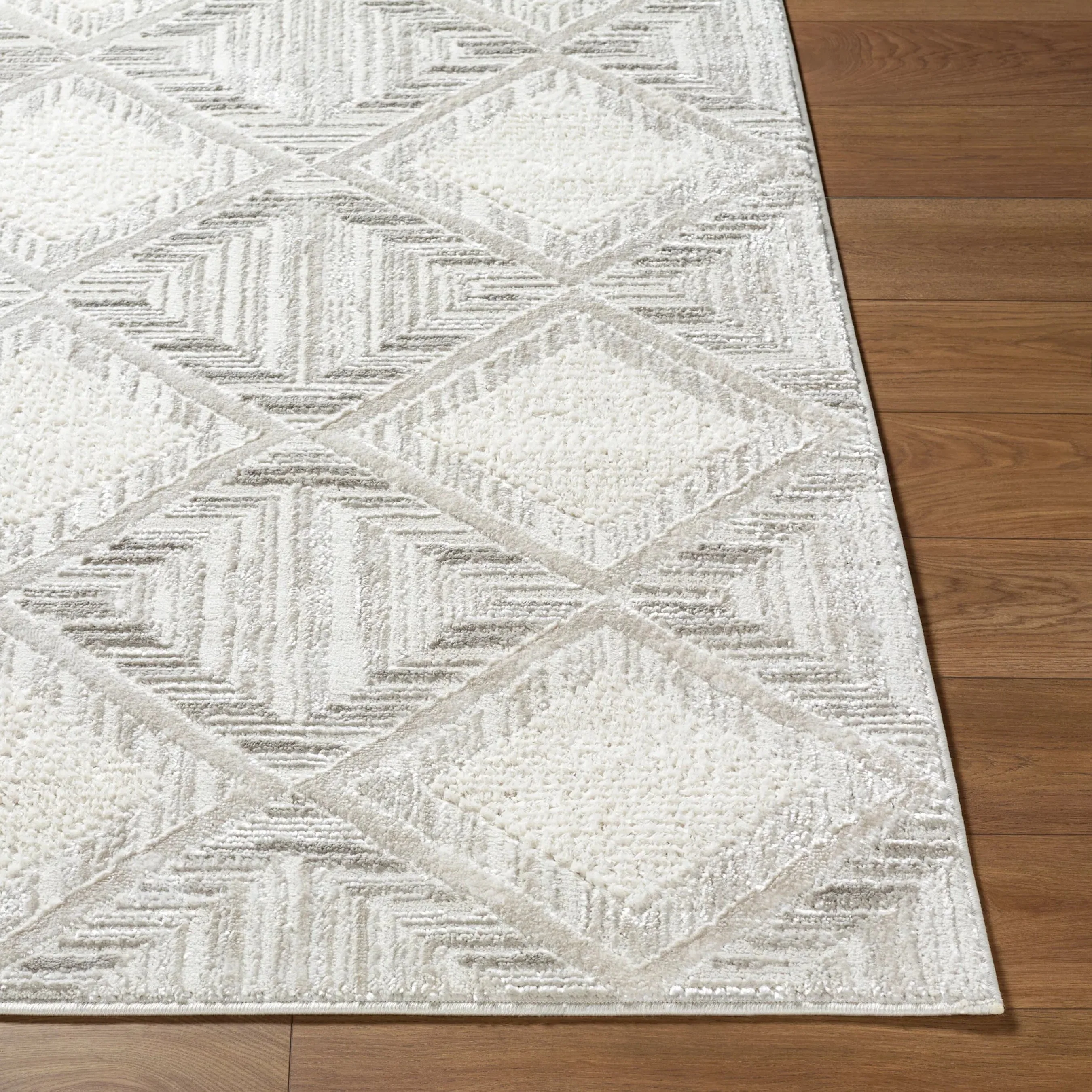 Wolly WOY-2302 Rug - Image 2